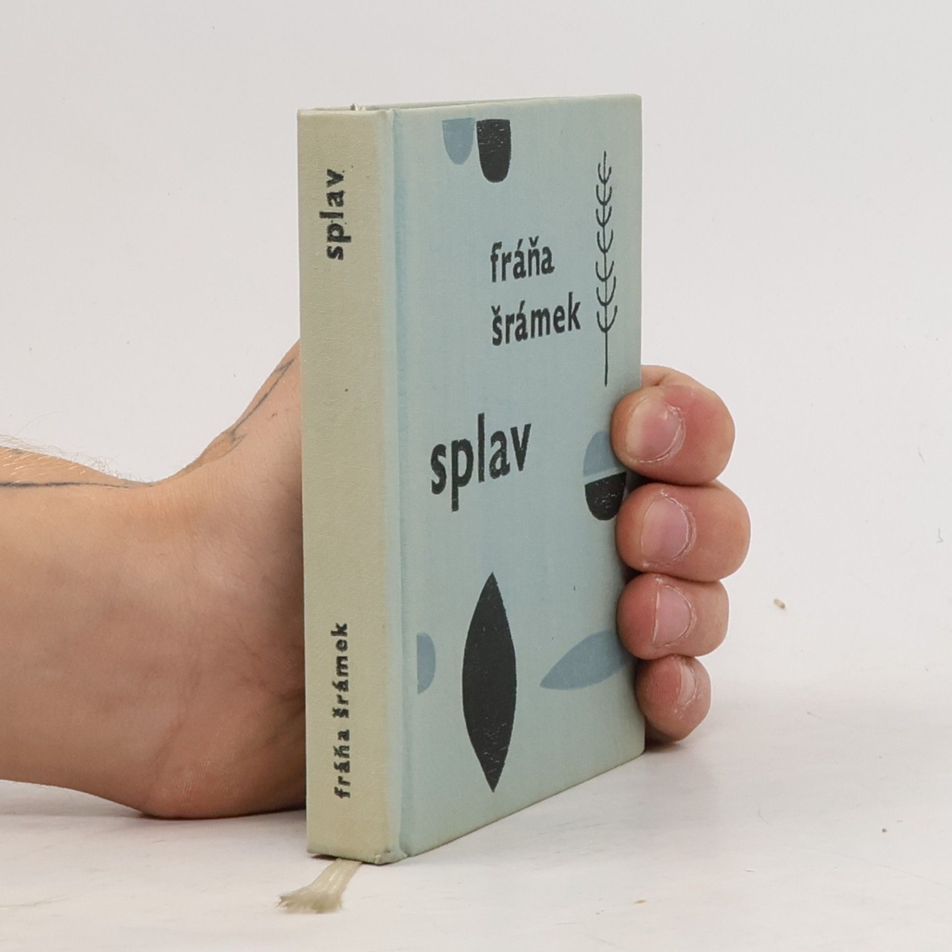 Splav