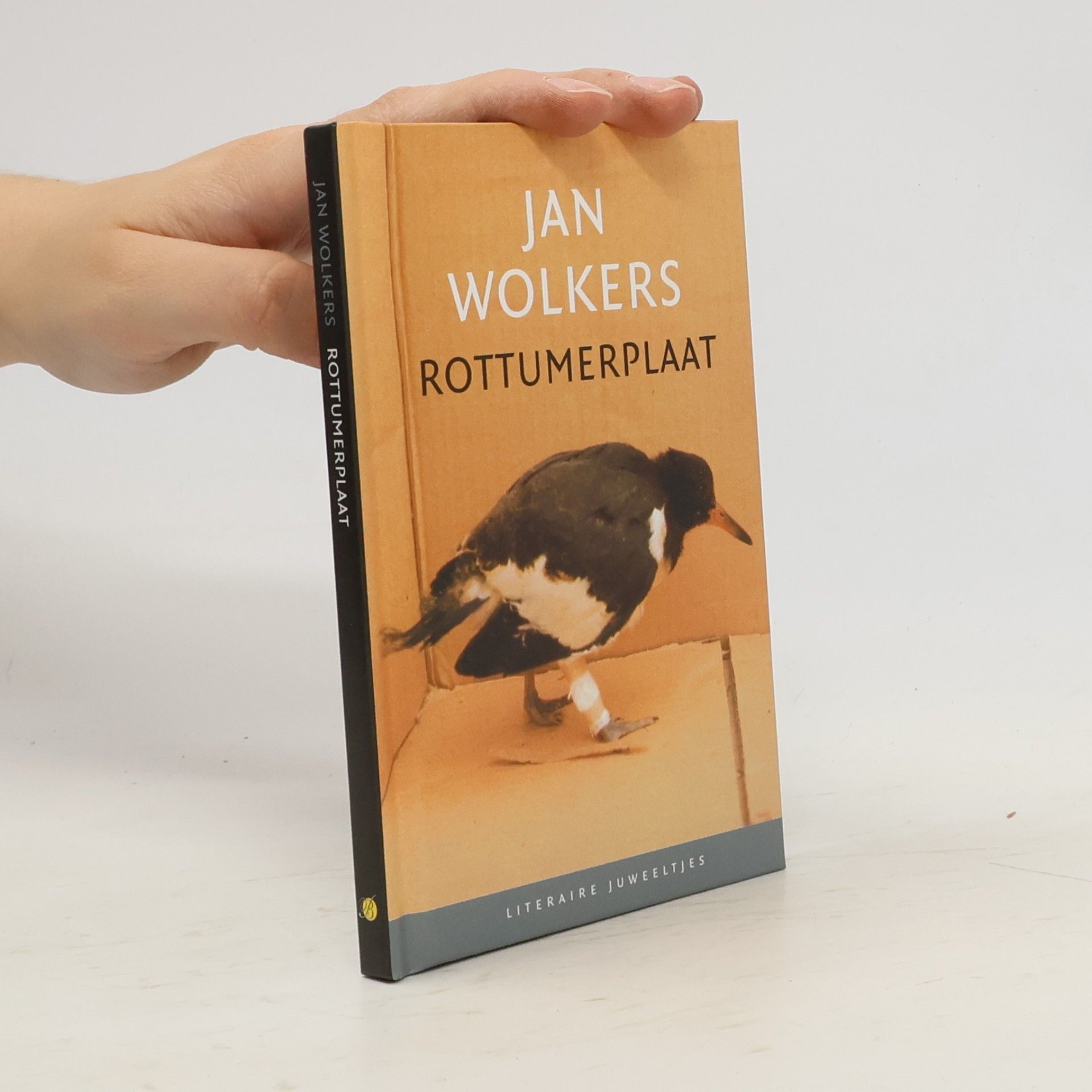 Rottumerplaat