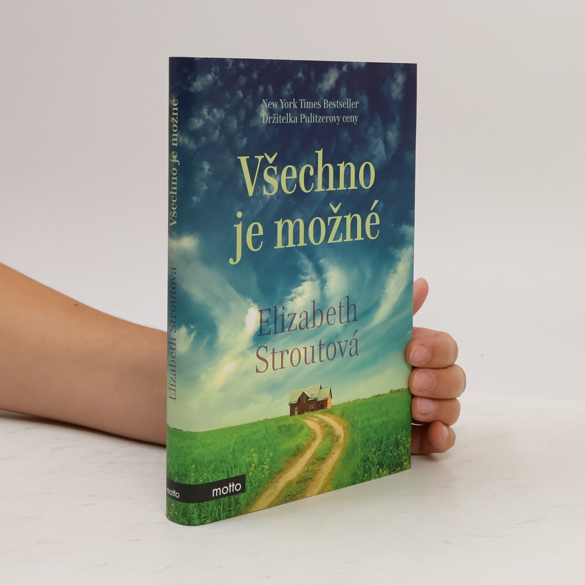 Elizabeth Strout Všechno je možné