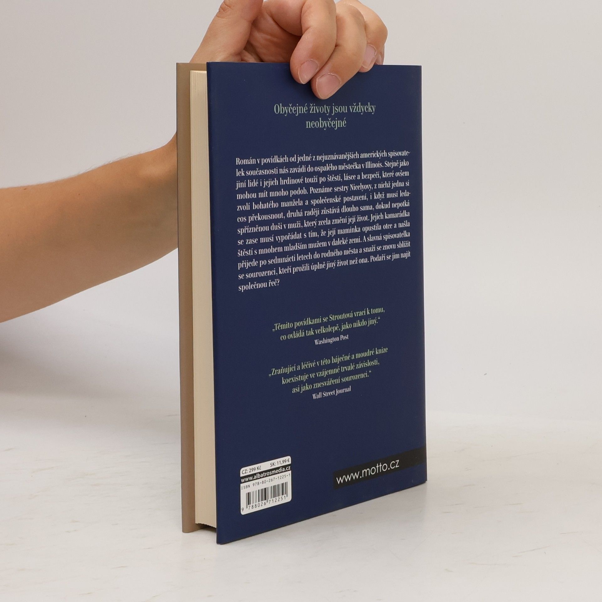 Elizabeth Strout Všechno je možné
