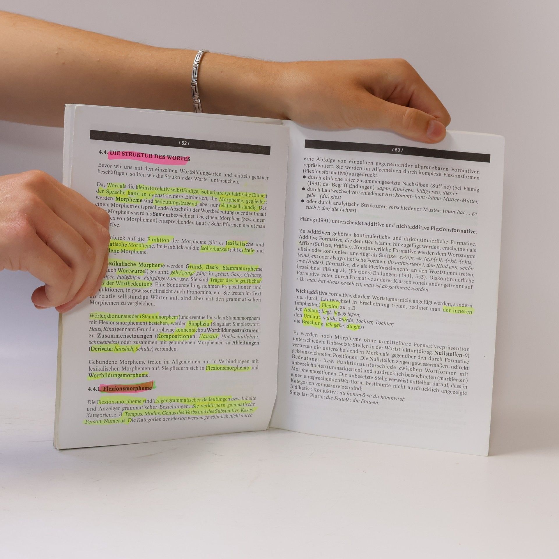 Mária Vajičková Lexikalisches Grundwissen in Sprachsystem und Sprachgebrauch
