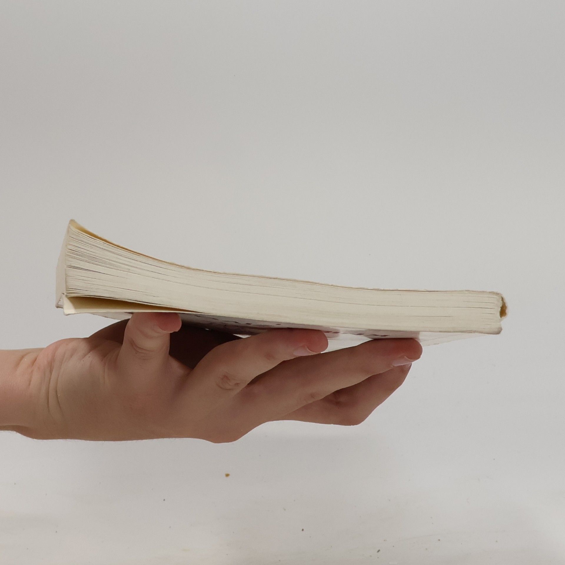 Daizui MacPhillamy Kniha života II