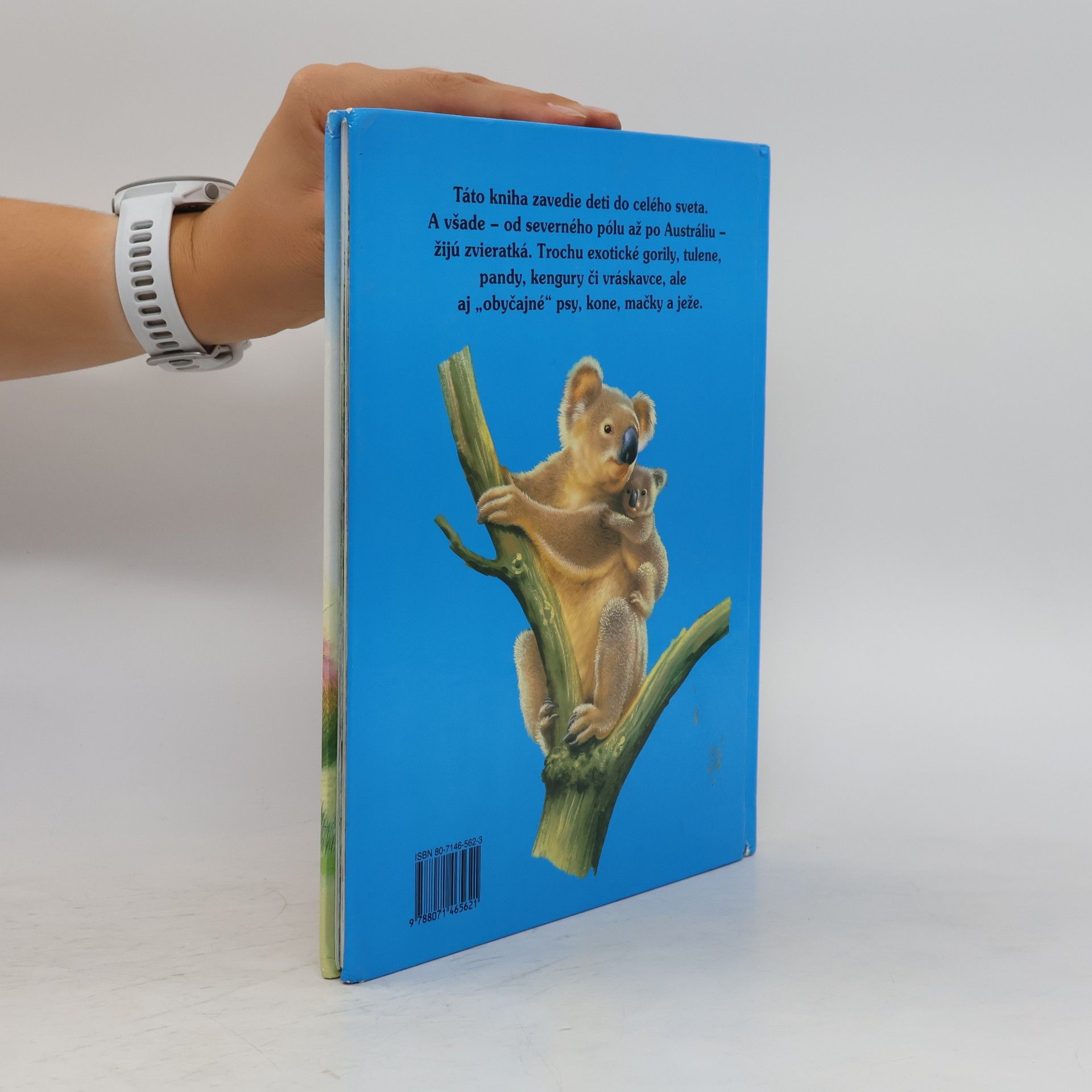 Various authors Zvieratká žijú všade