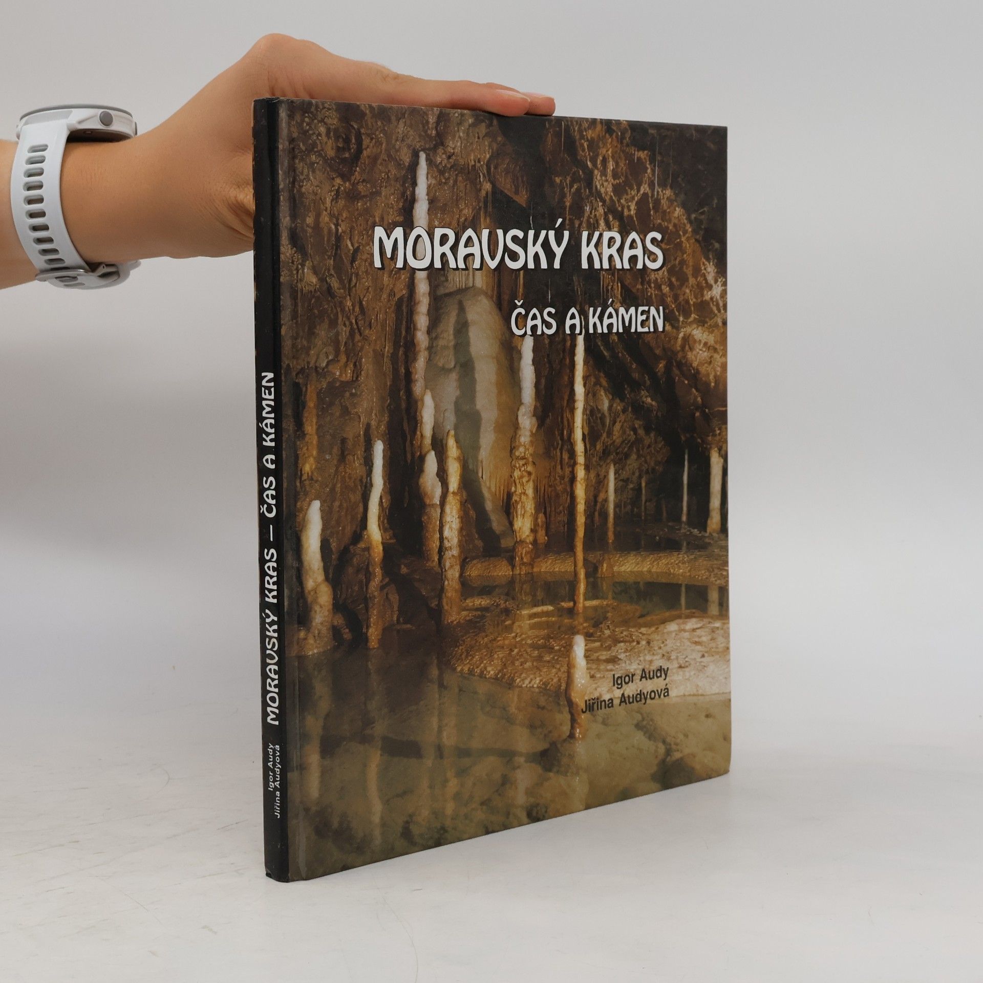 Igor Audy Moravský kras. Čas a kámen