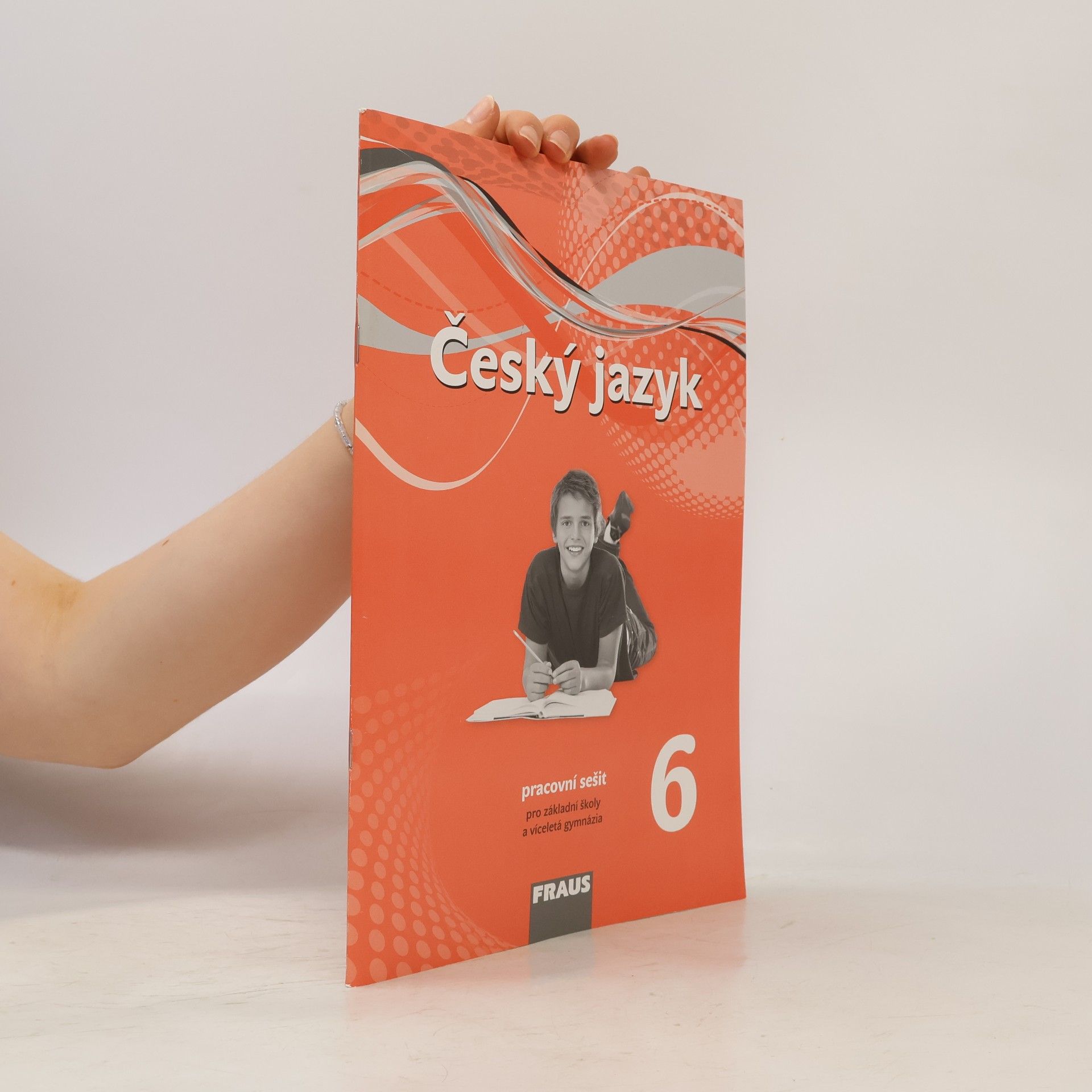 Český jazyk 6 : pracovní sešit : pro základní školy a víceletá gymnázia