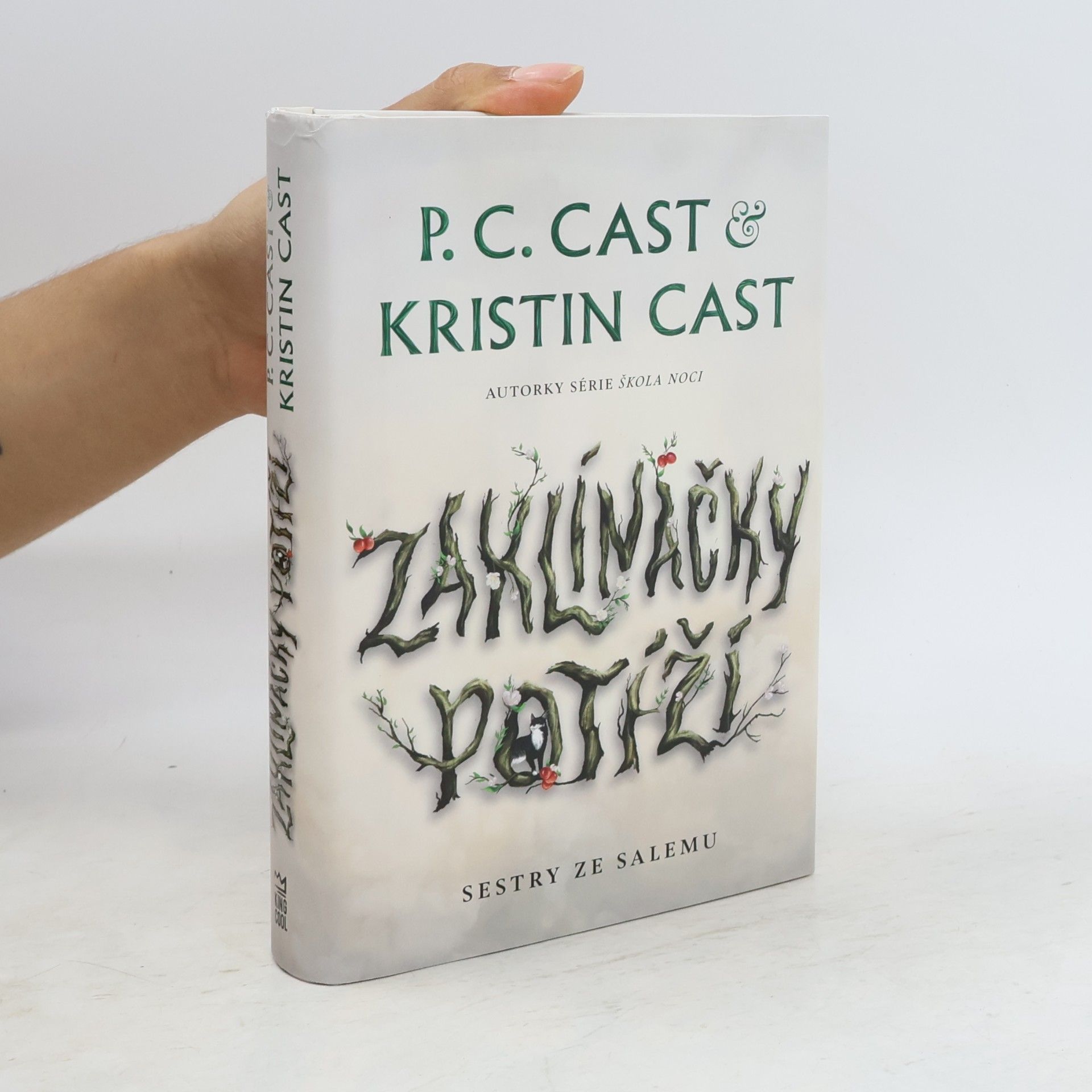 P. C. Cast Sestry ze Salemu. Zaklínačky potíží