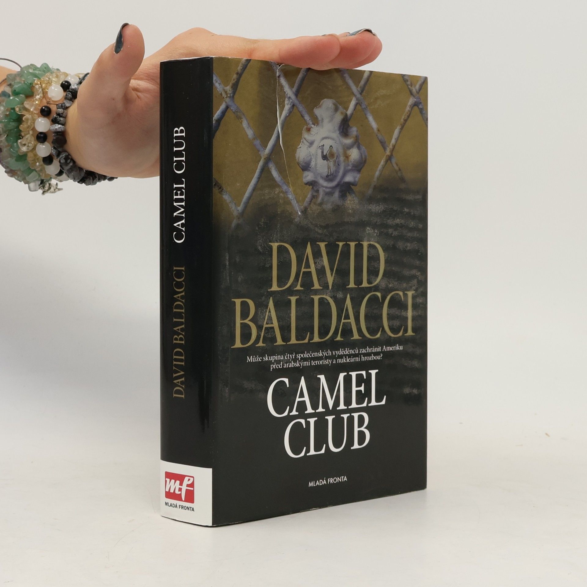 David Baldacci Camel Club
