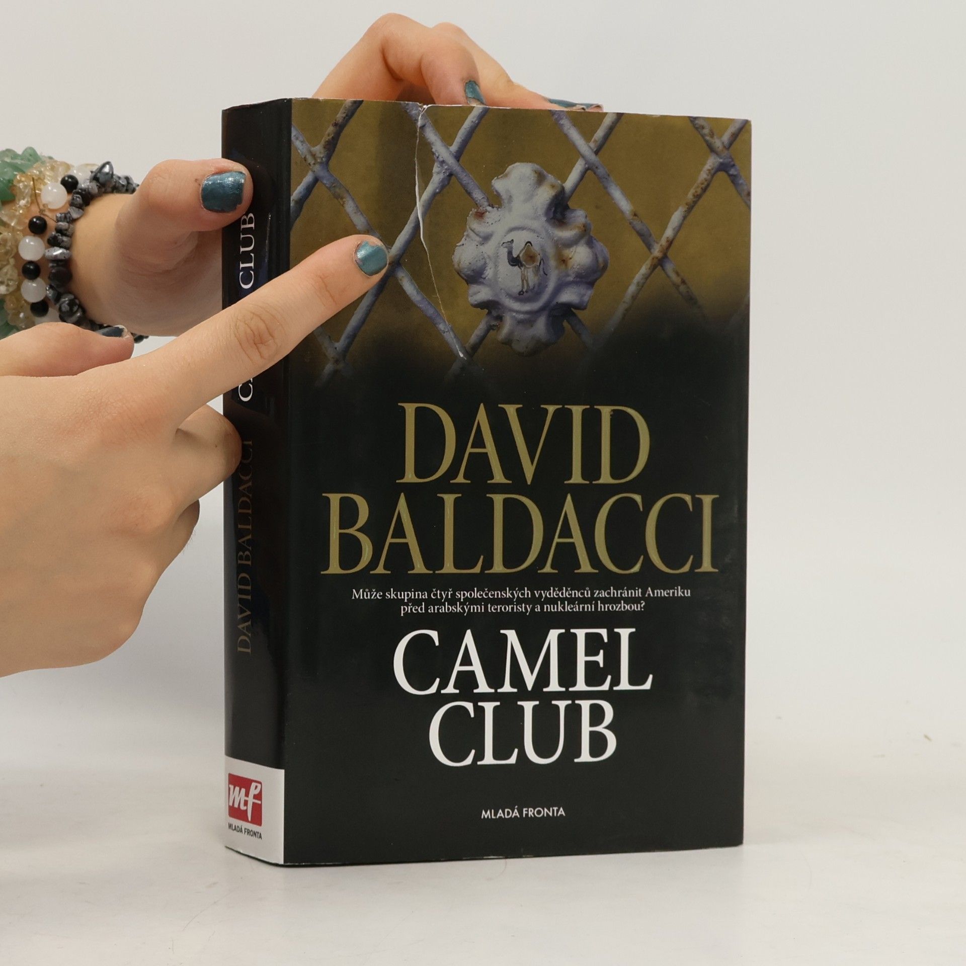David Baldacci Camel Club