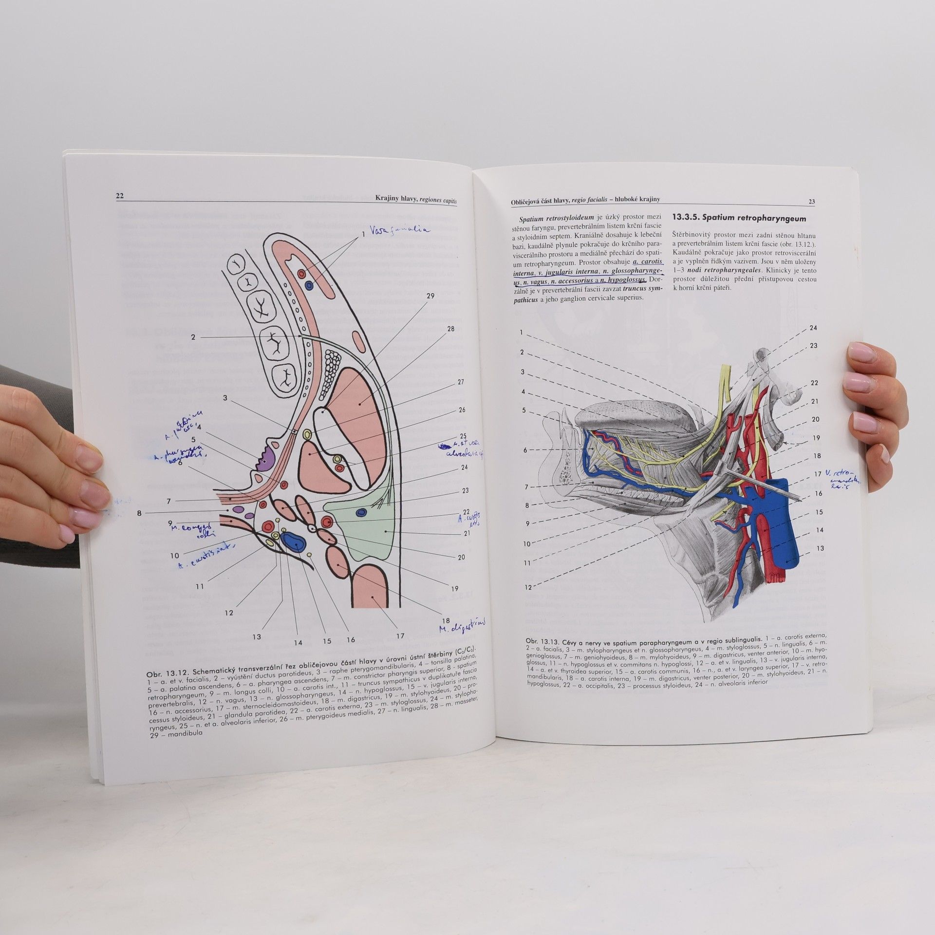 Miloš Grim Základy anatomie. 5., Anatomie krajin těla