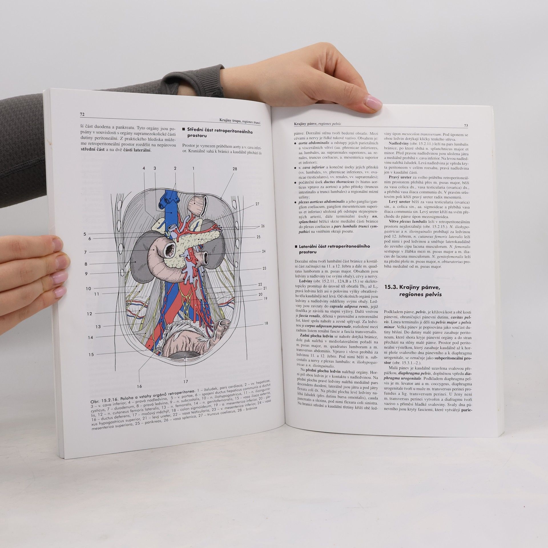 Miloš Grim Základy anatomie. 5., Anatomie krajin těla