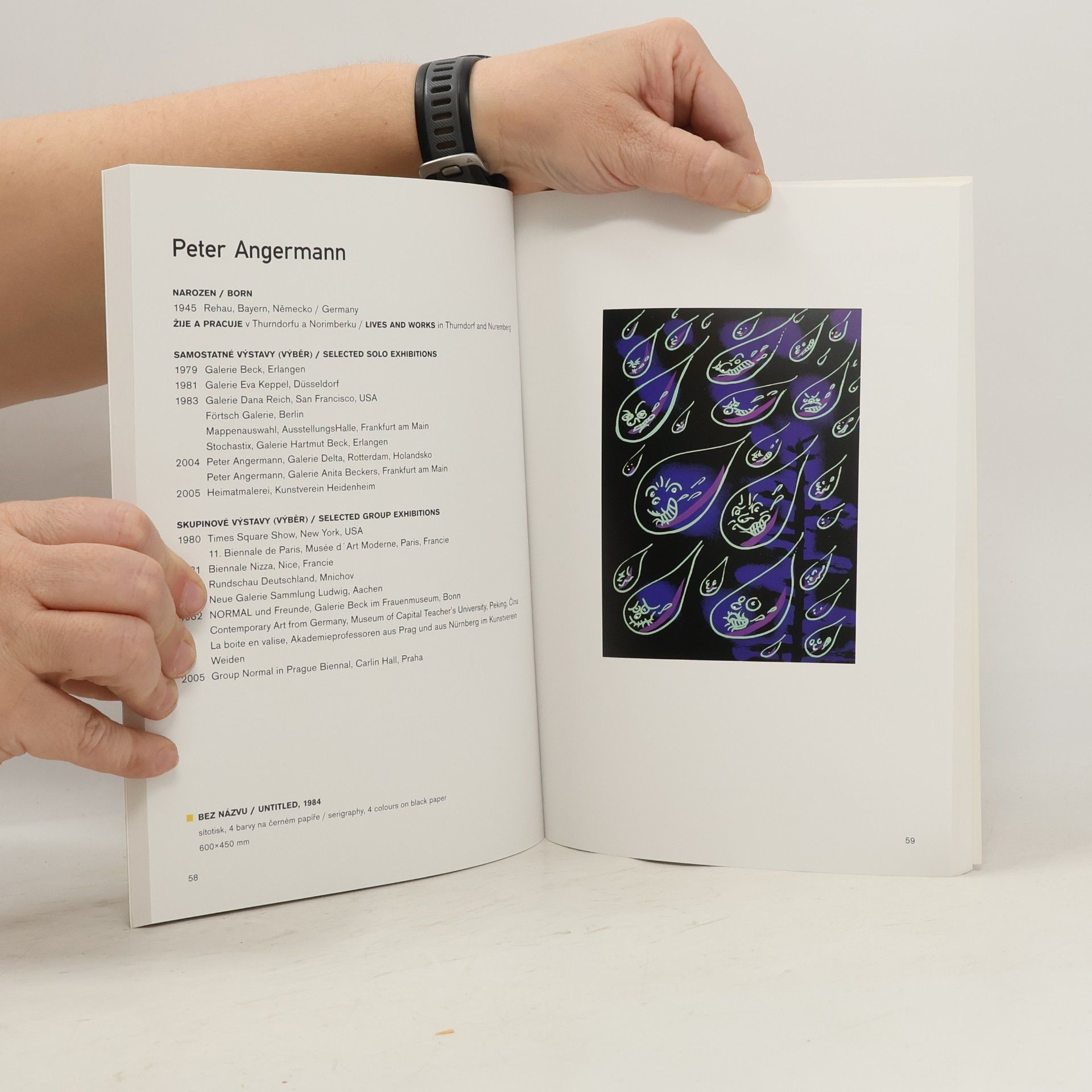 Autores varios Horká jehla