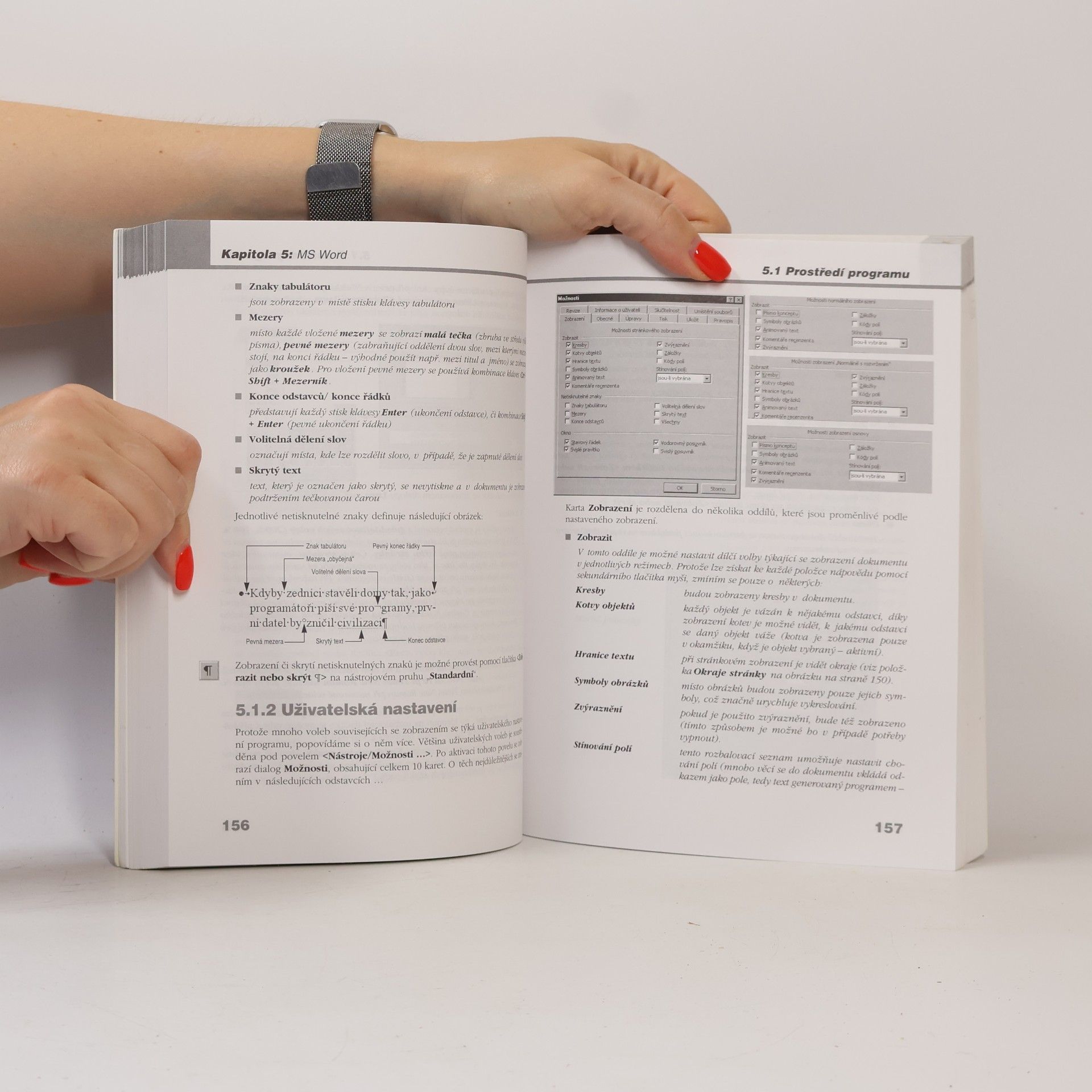 Petr Městecký Počítač v kanceláři: Používáme Windows 95, Microsoft Word, Excel a Outlook