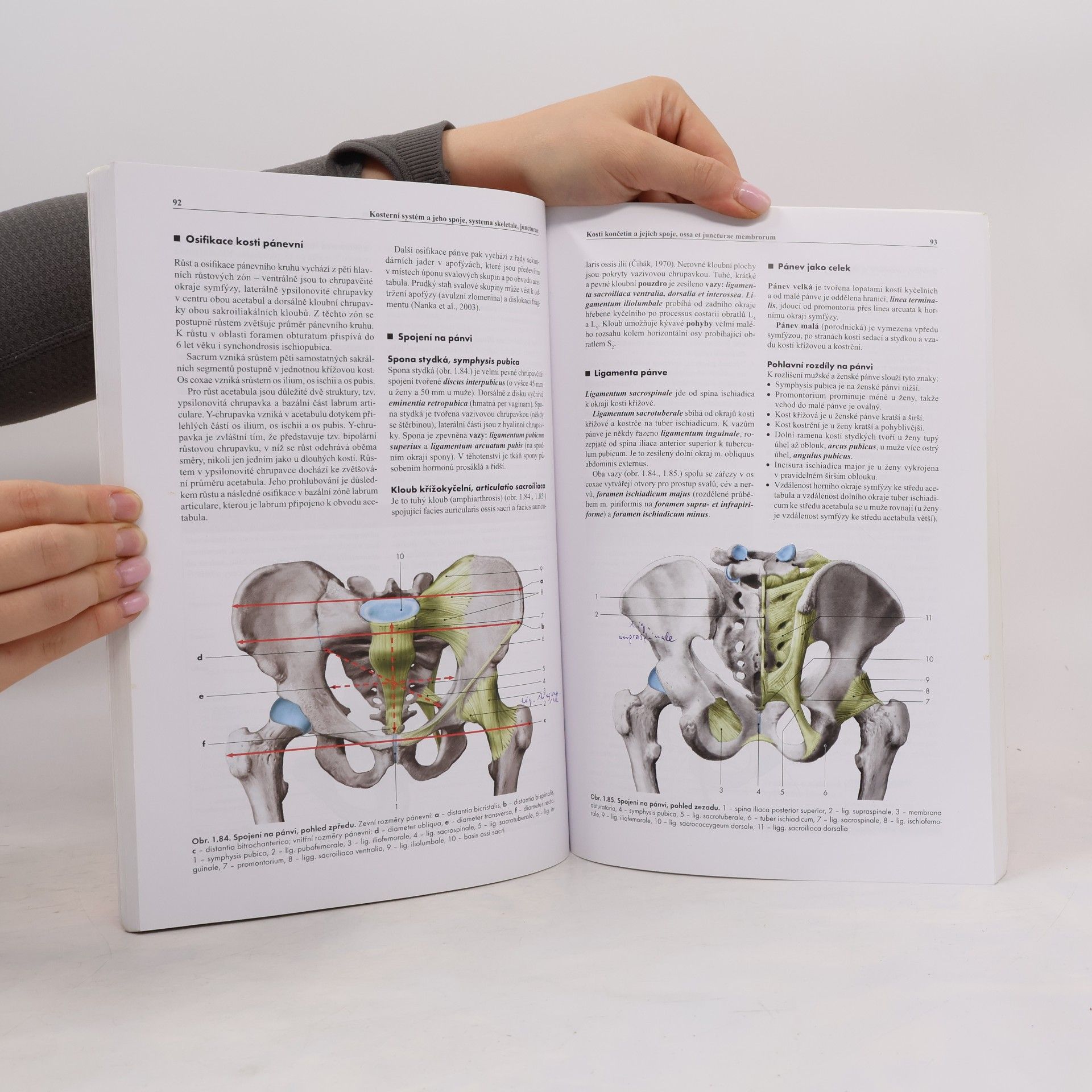 Miloš Grim Základy anatomie. 1., Obecná anatomie a pohybový systém