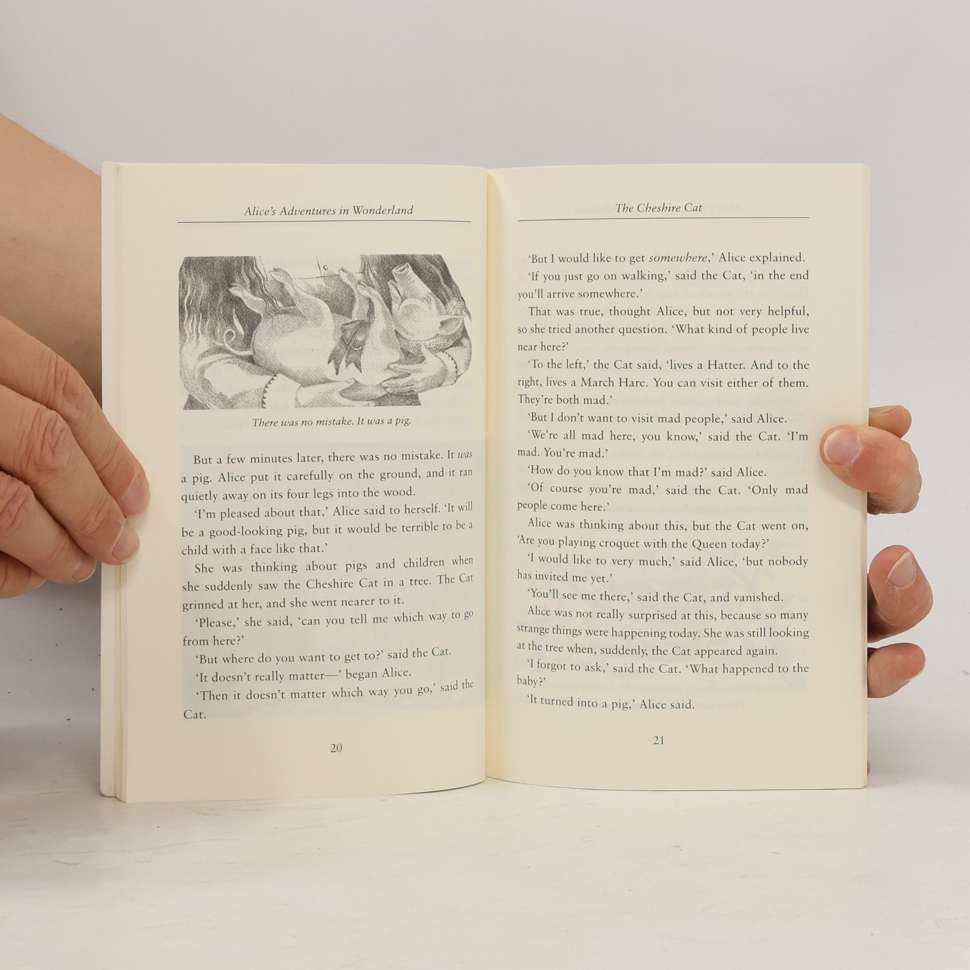 Nilesh Mistry Alice's adventures in Wonderland