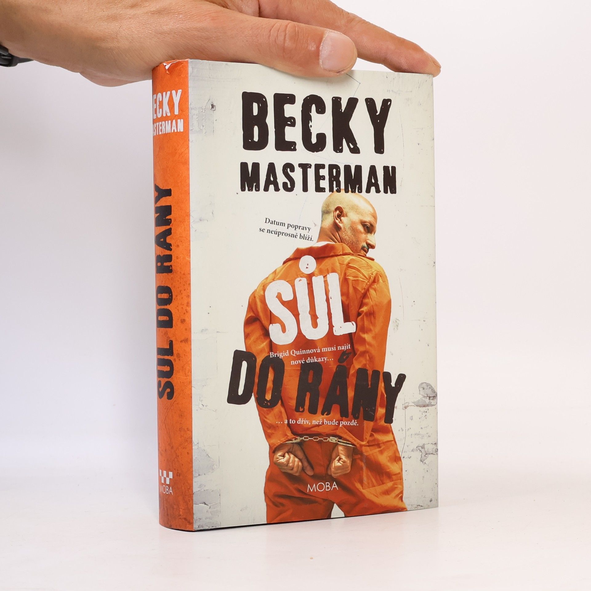 Becky Masterman Sůl do rány