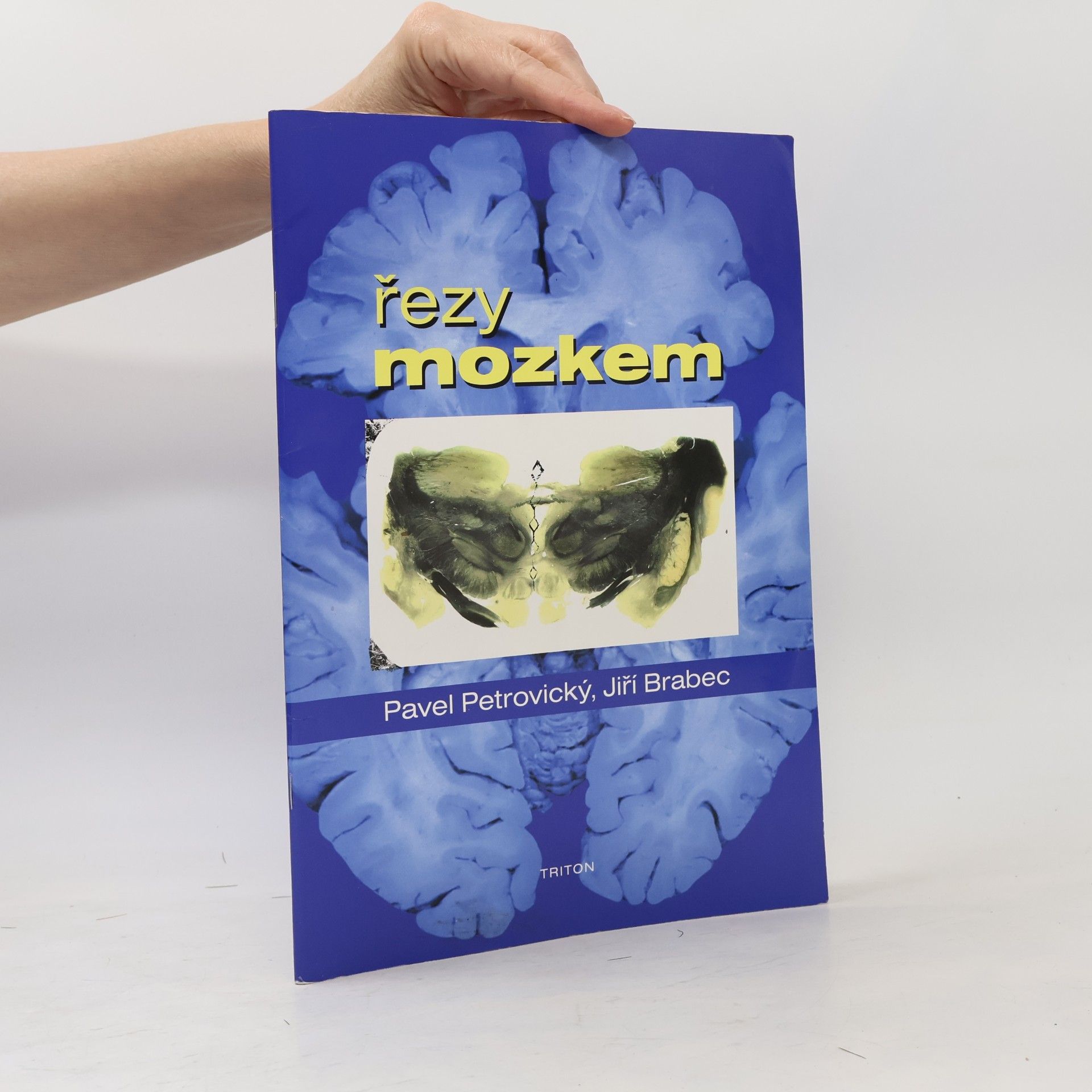 Jiří Brabec Řezy mozkem