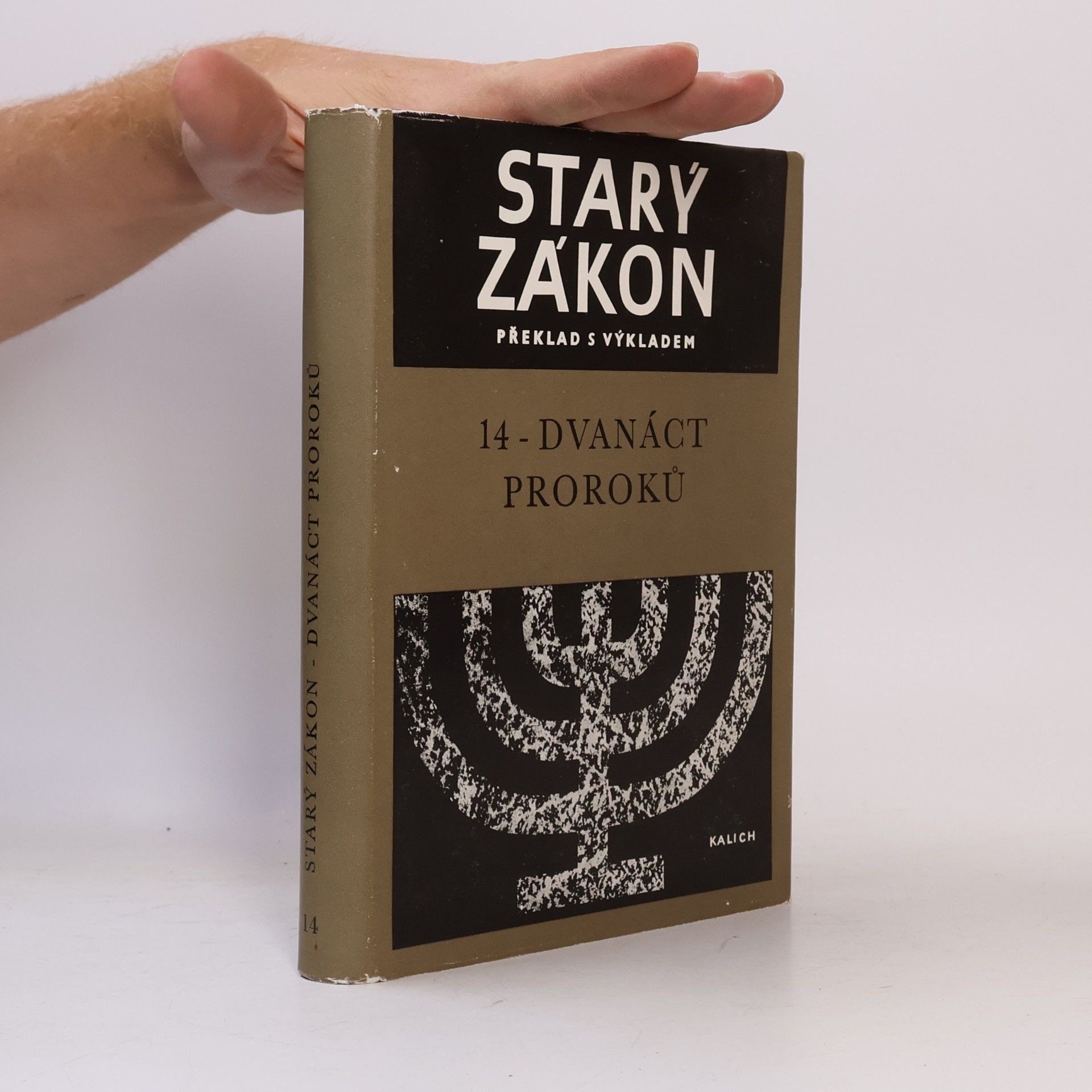 Miloš Bič Starý zákon. Dvanáct proroků