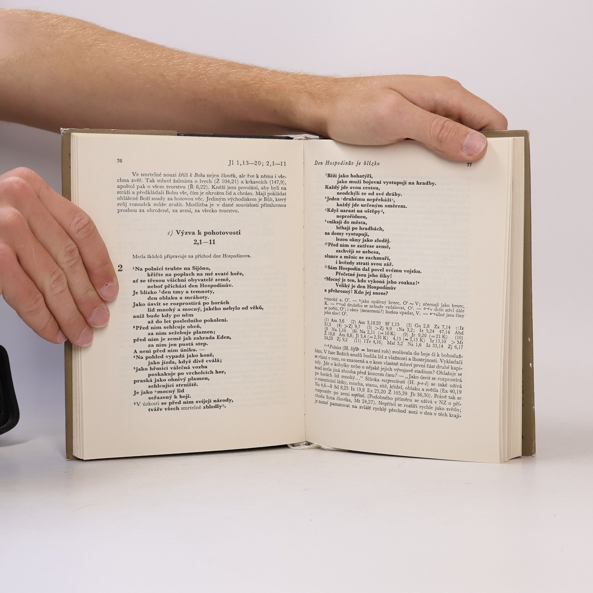 Various authors Starý zákon. Dvanáct proroků