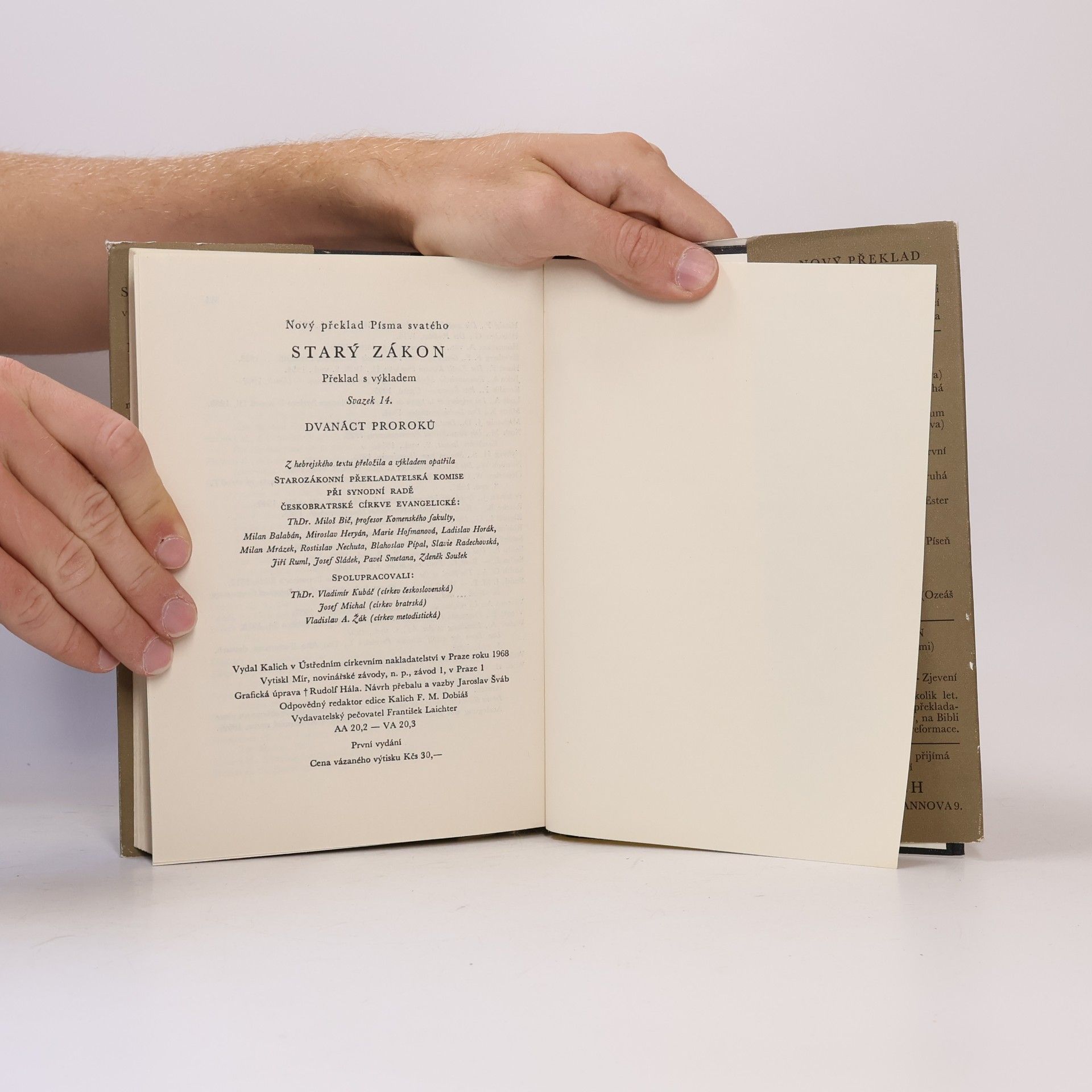 Various authors Starý zákon. Dvanáct proroků