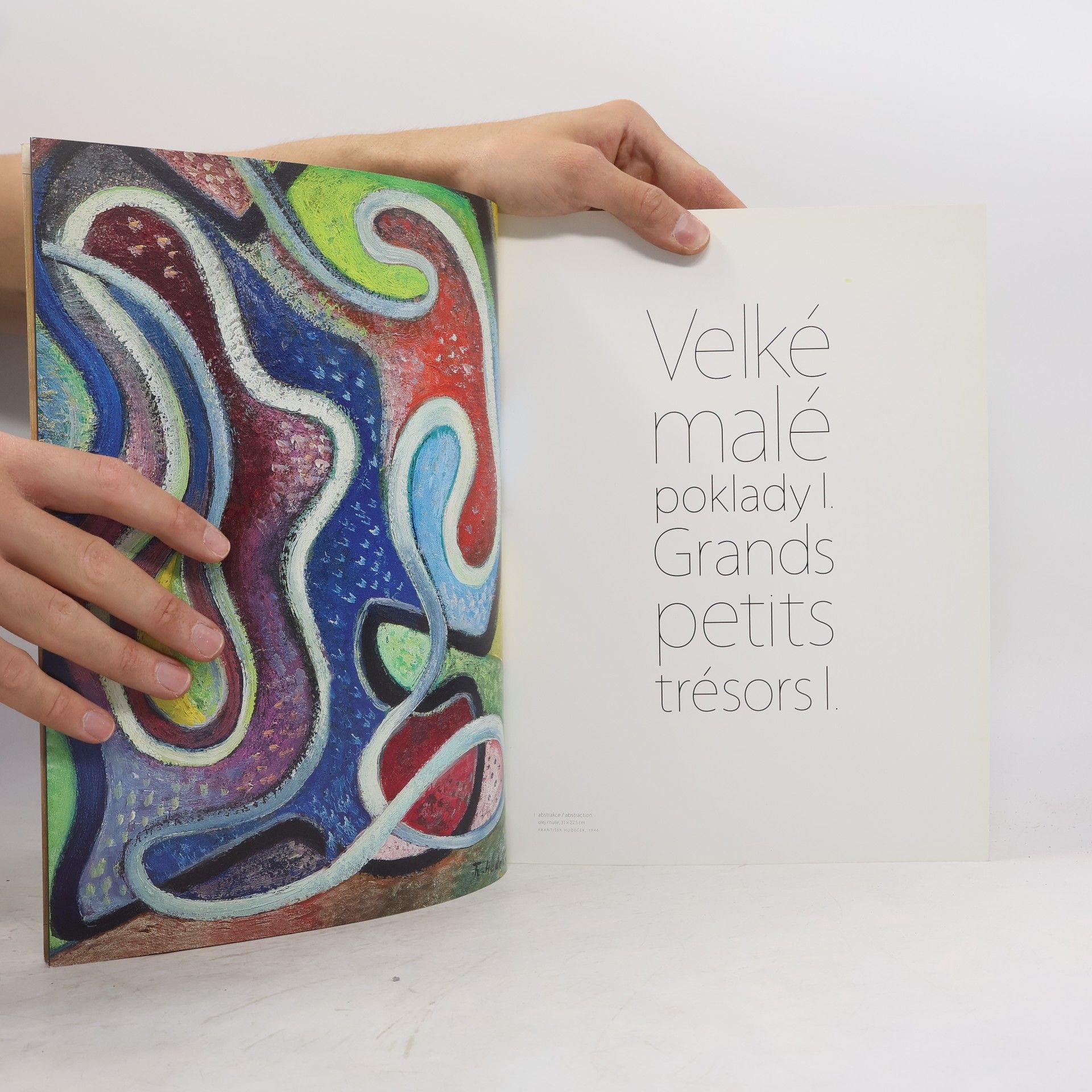 Jiří de Heer Velké malé poklady I. Grands petits trésors I.