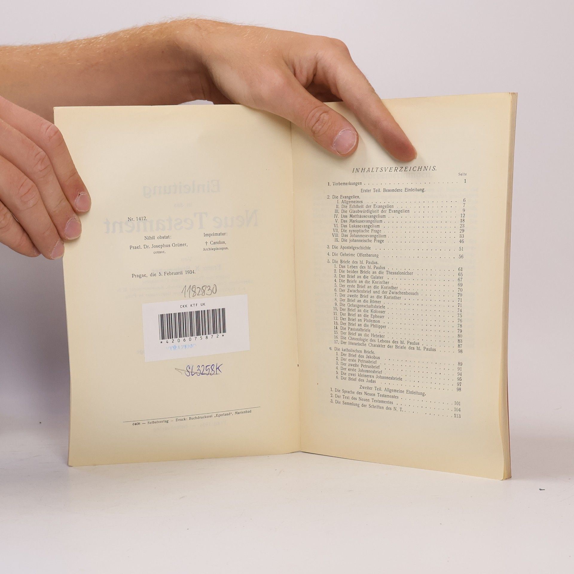 Kolektiv autorů Einleitung in das Neue Testament