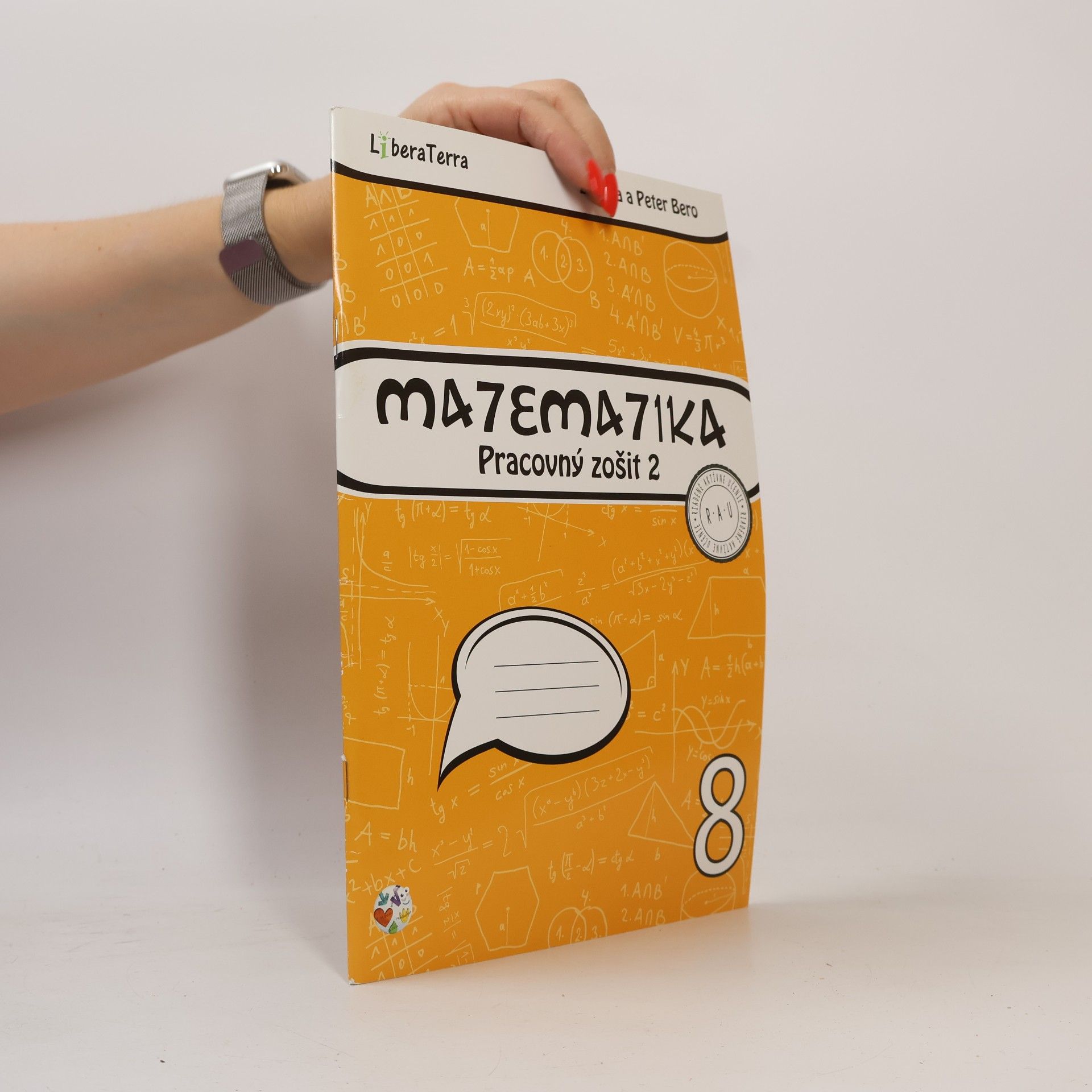 Matematika. Pracovný zošit 2