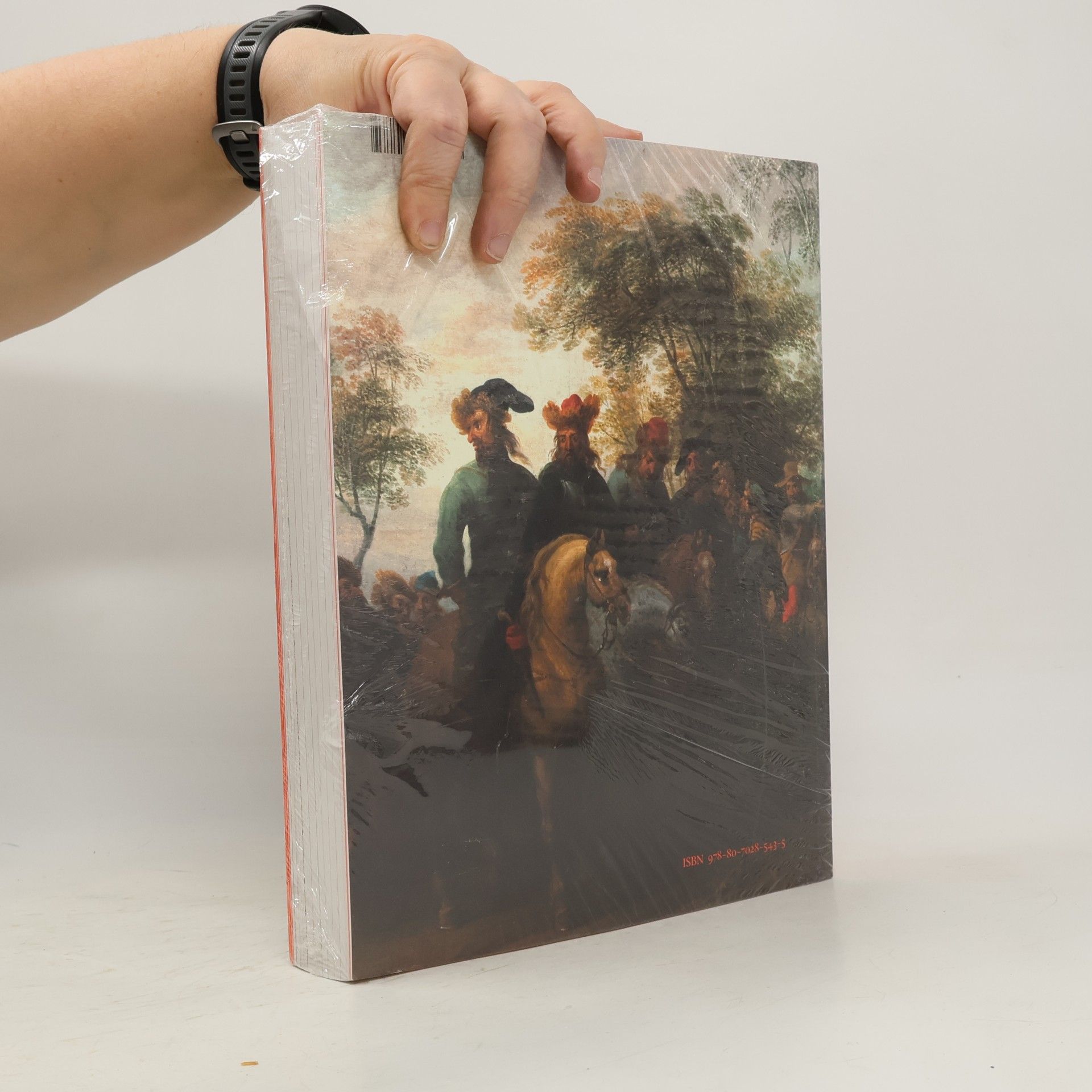Lenka Stolárová Comenius : 1592-1670 : doba mezi rozumem a šílenstvím : Jan Amos Komenský a jeho svět