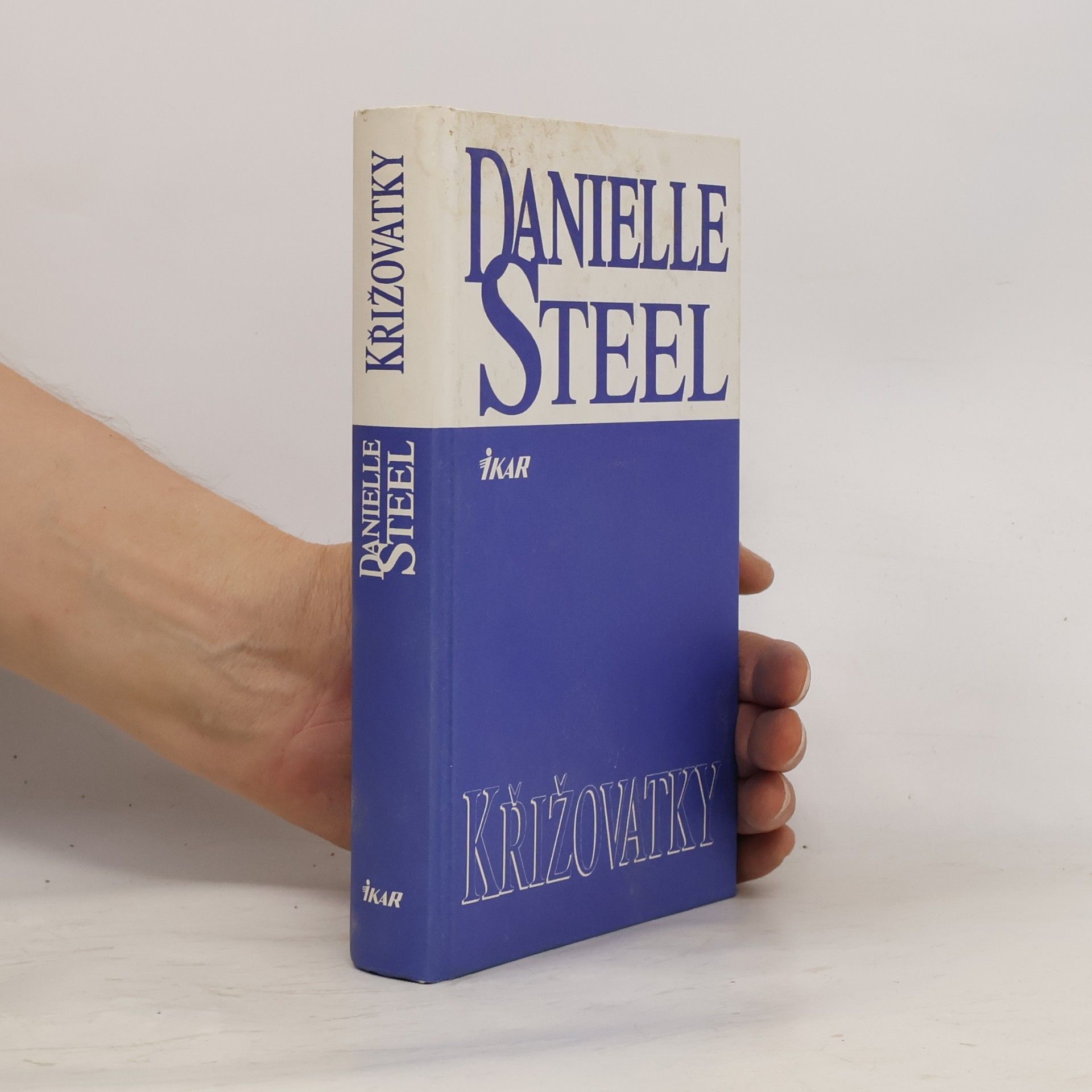 Danielle Steel Křižovatky
