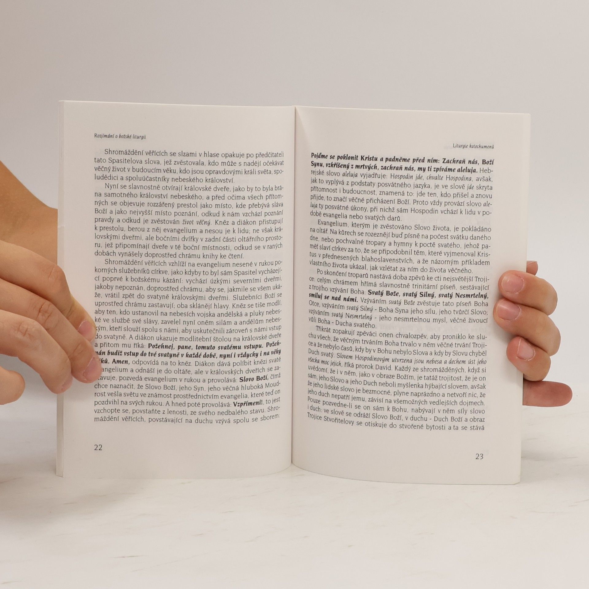 Nikolaj Vasilevič Gogol Rozjímání o božské liturgii
