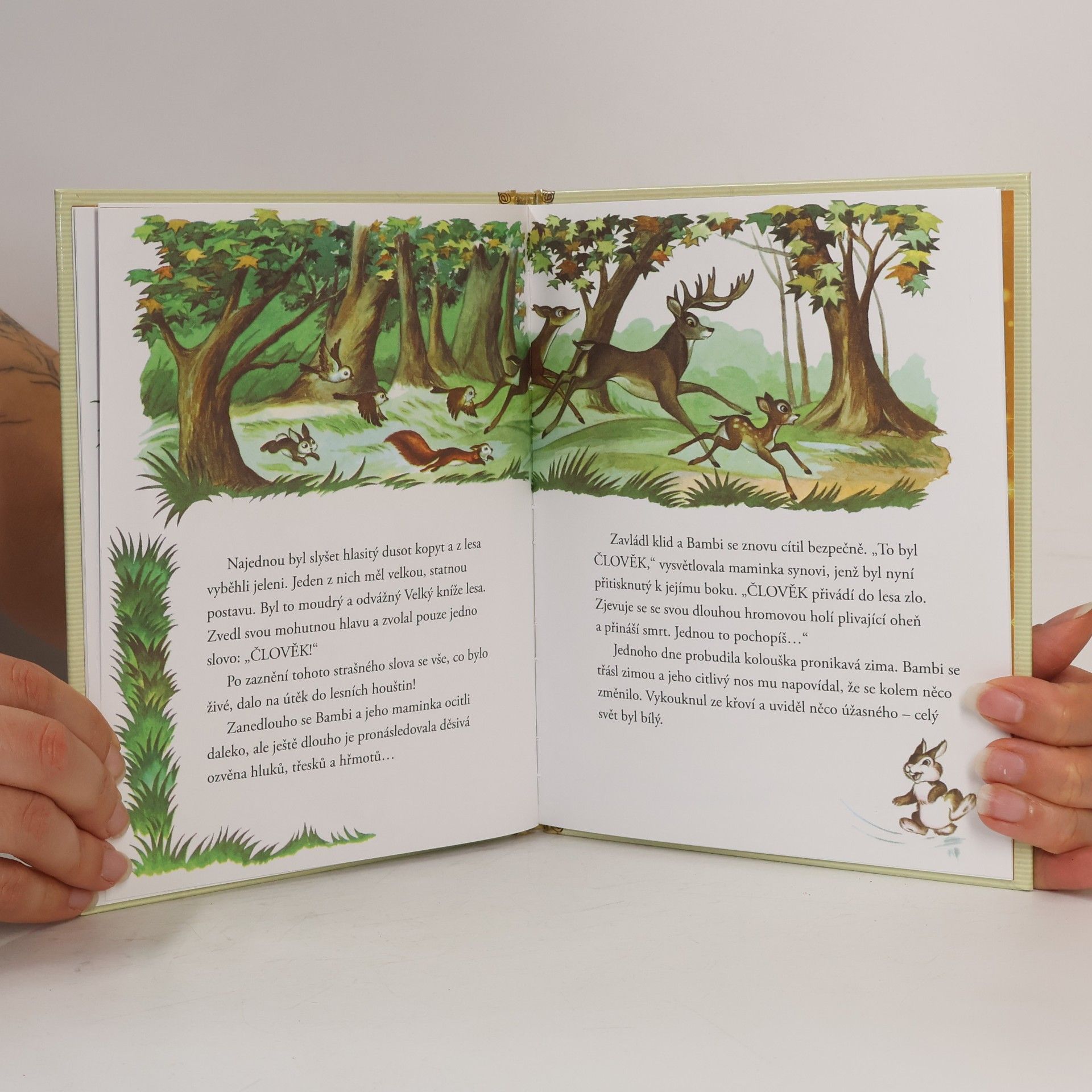 Autores varios Zlatá sbírka pohádek 4. Bambi