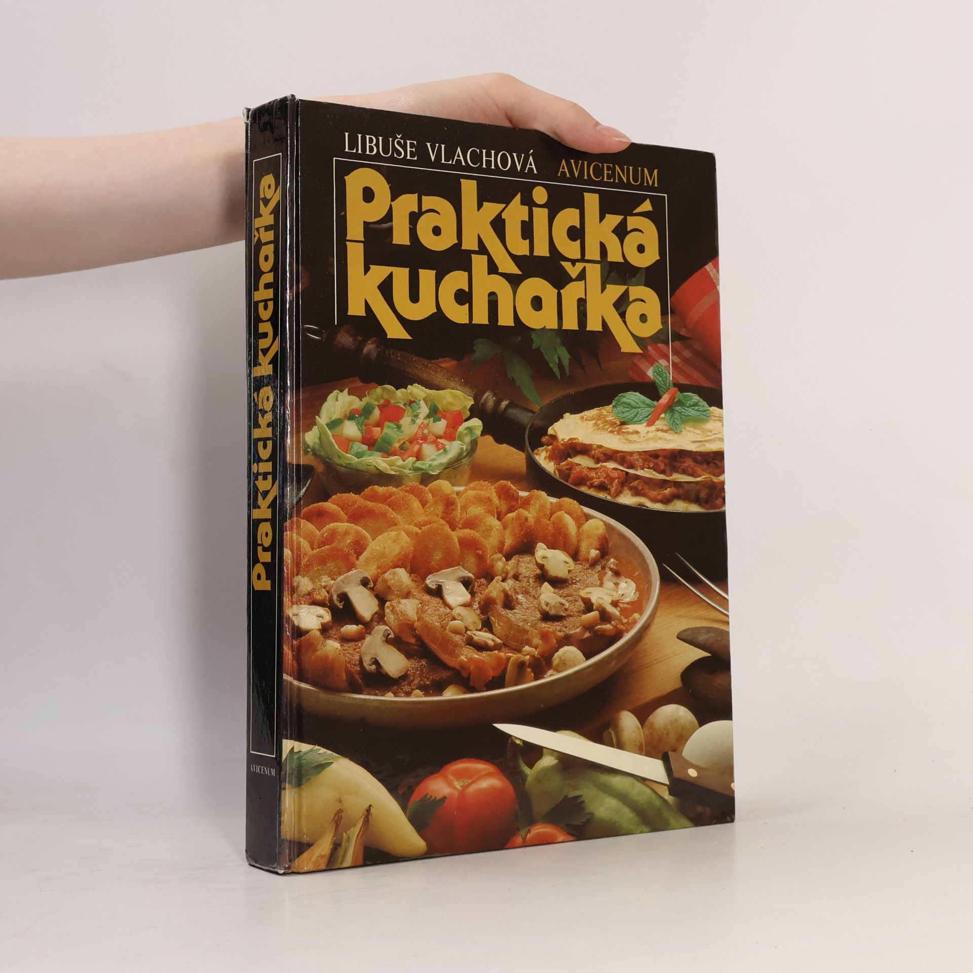 Libuše Vlachová Praktická kuchařka
