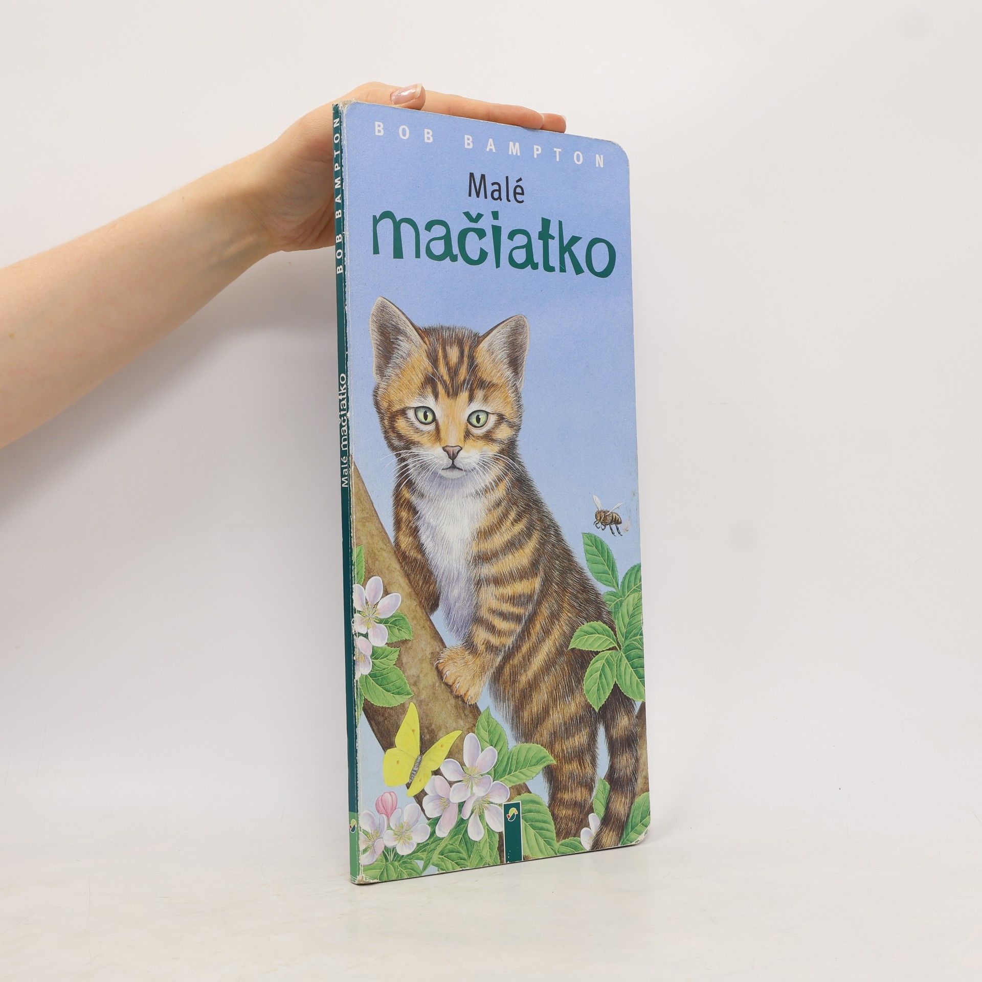 Bob Bampton Malé koťátko