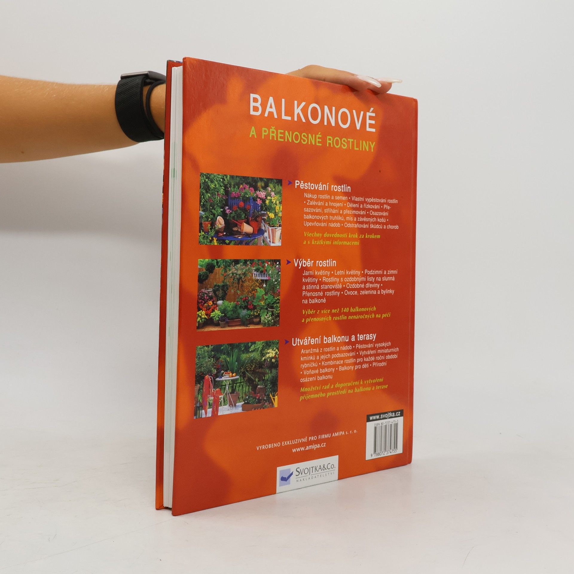 Joachim Mayer Balkonové a přenosné rostliny
