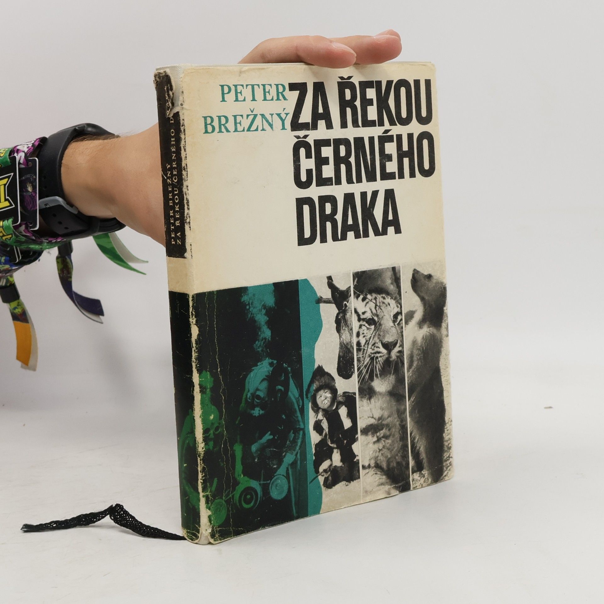 Miroslav Hanka Za řekou Černého draka