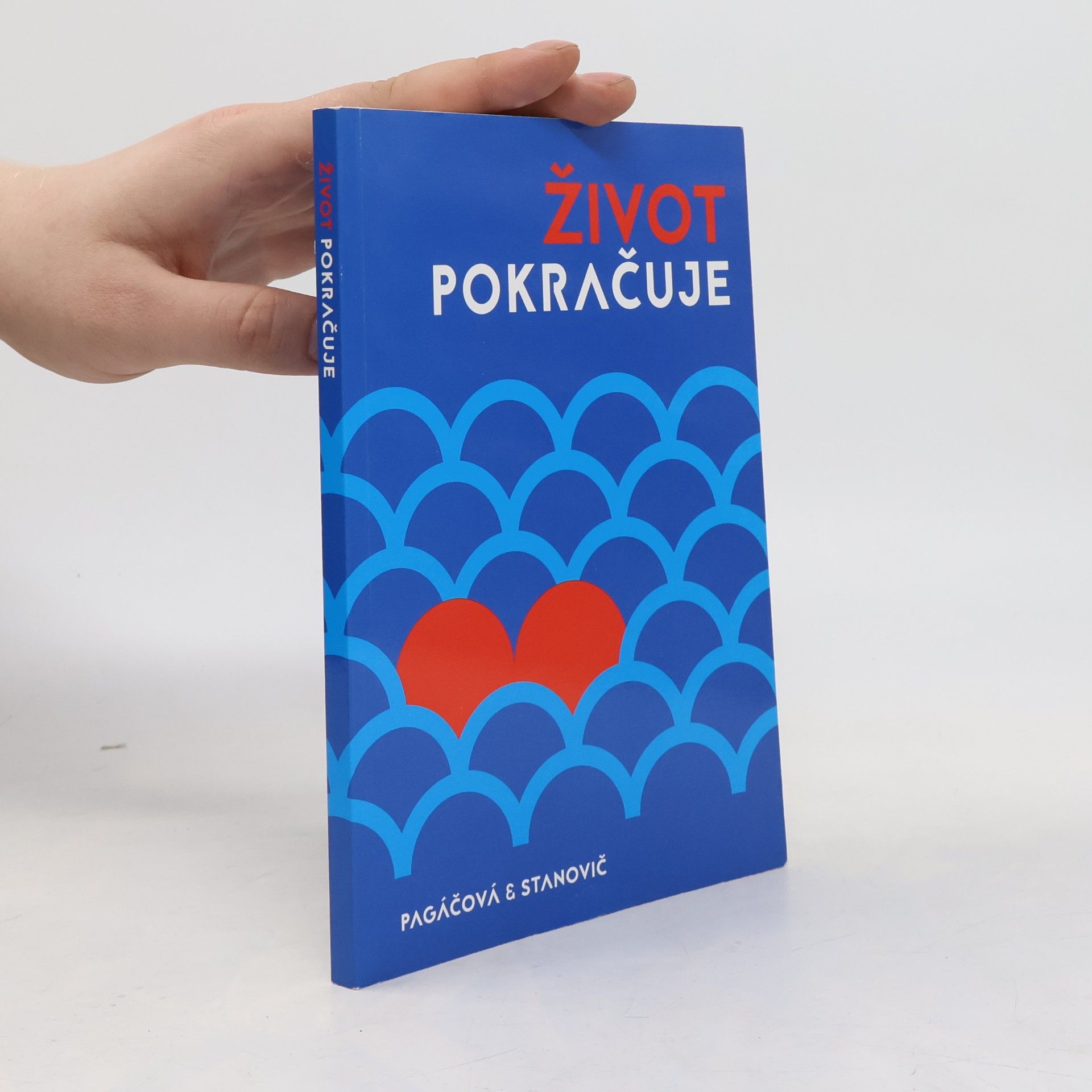 Vlasta Pagáčová Život pokračuje