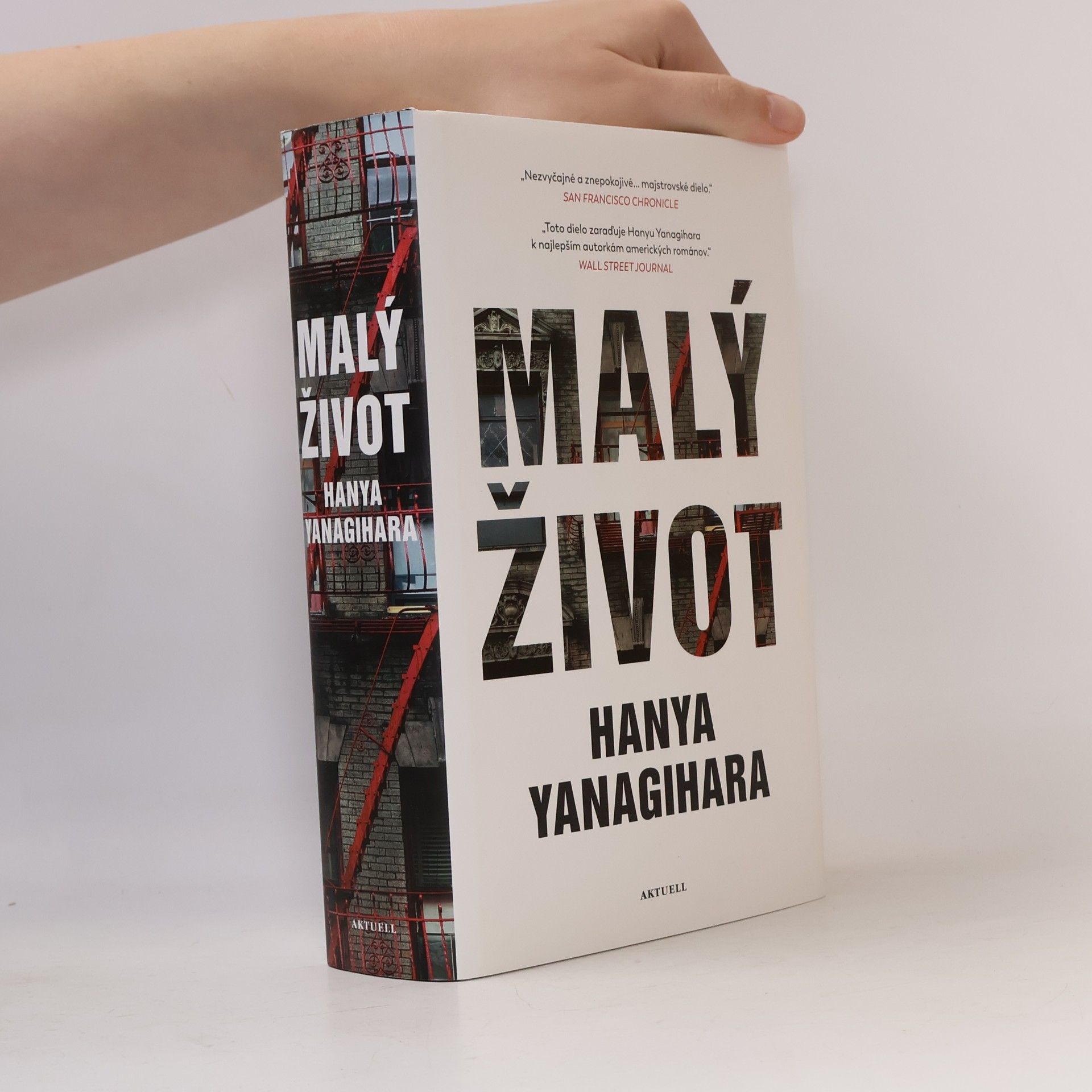 Hanya Yanagihara Malý život