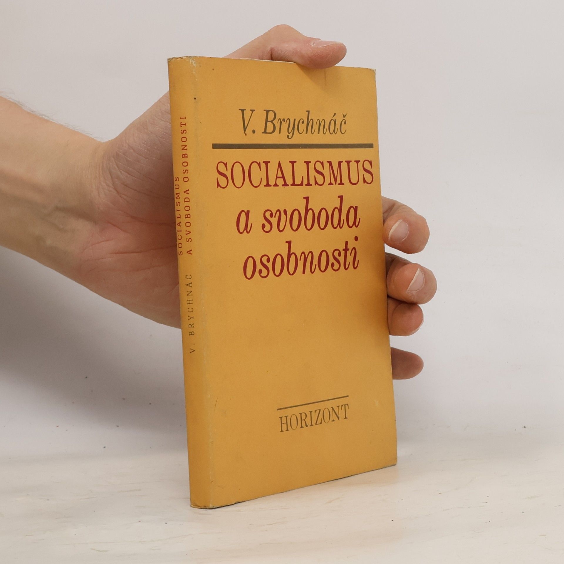 Vlastimil Brychnáč Socialismus a svoboda osobnosti