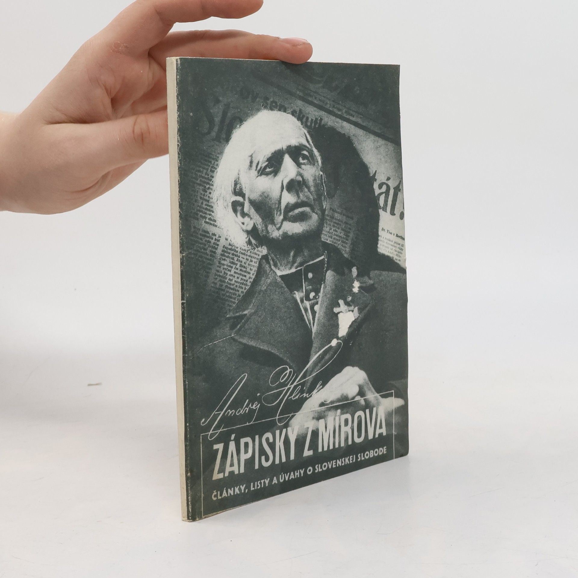 Andrej Hlinka Zápisky z Mírova
