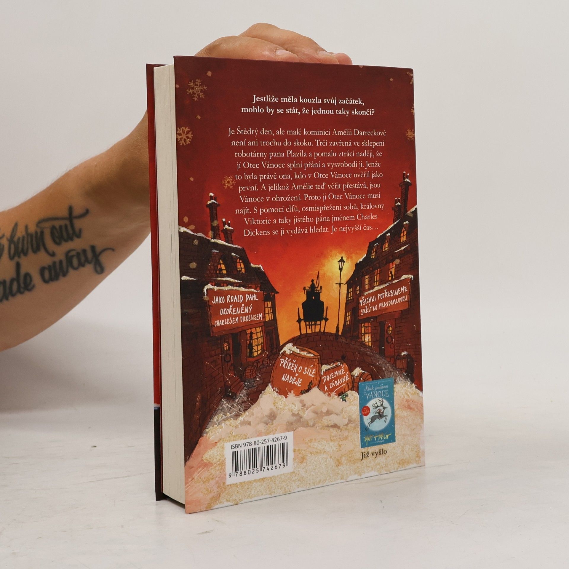 Matt Haig Holka, která zachránila Vánoce