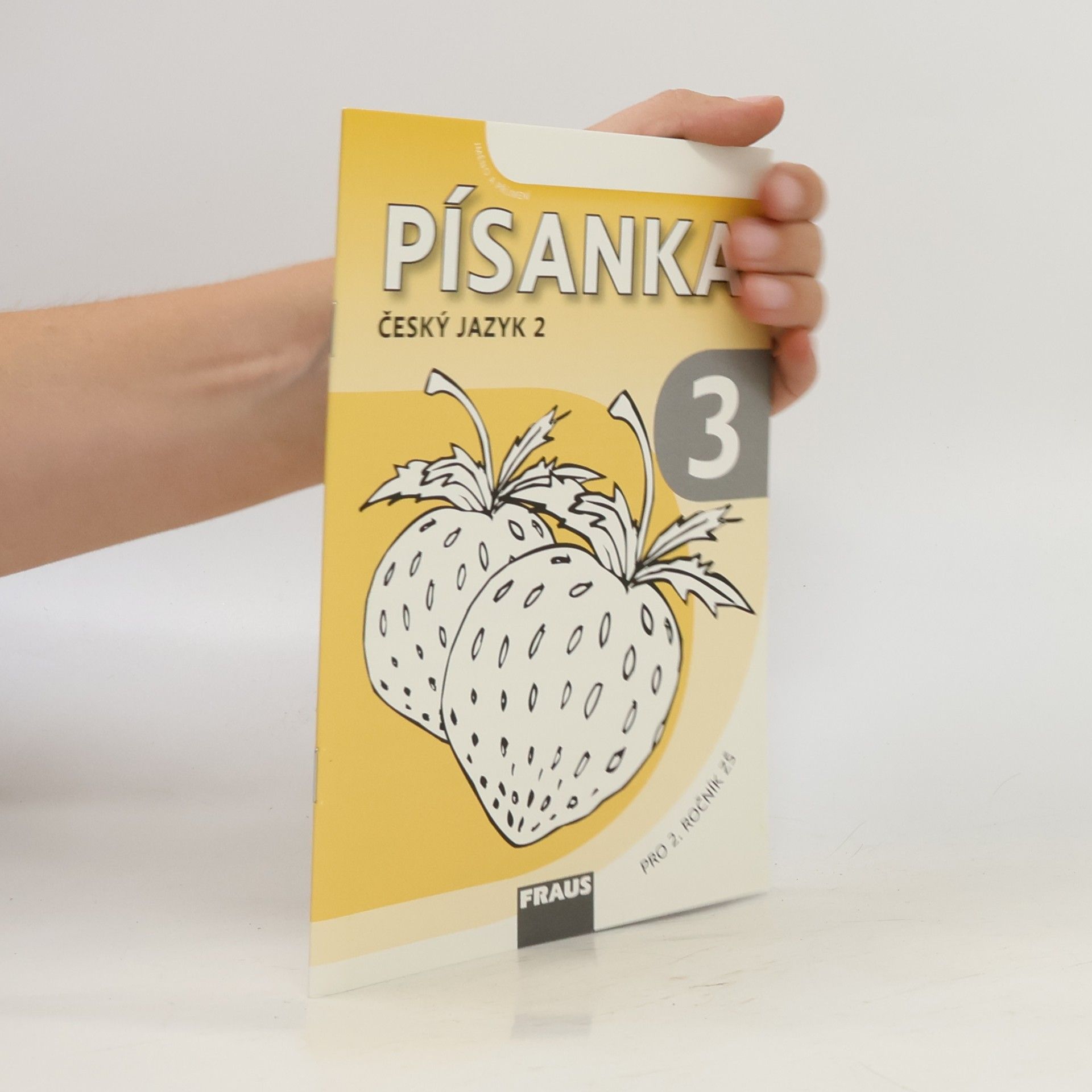 Autorenkollektiv Písanka 3. Český jazyk 2