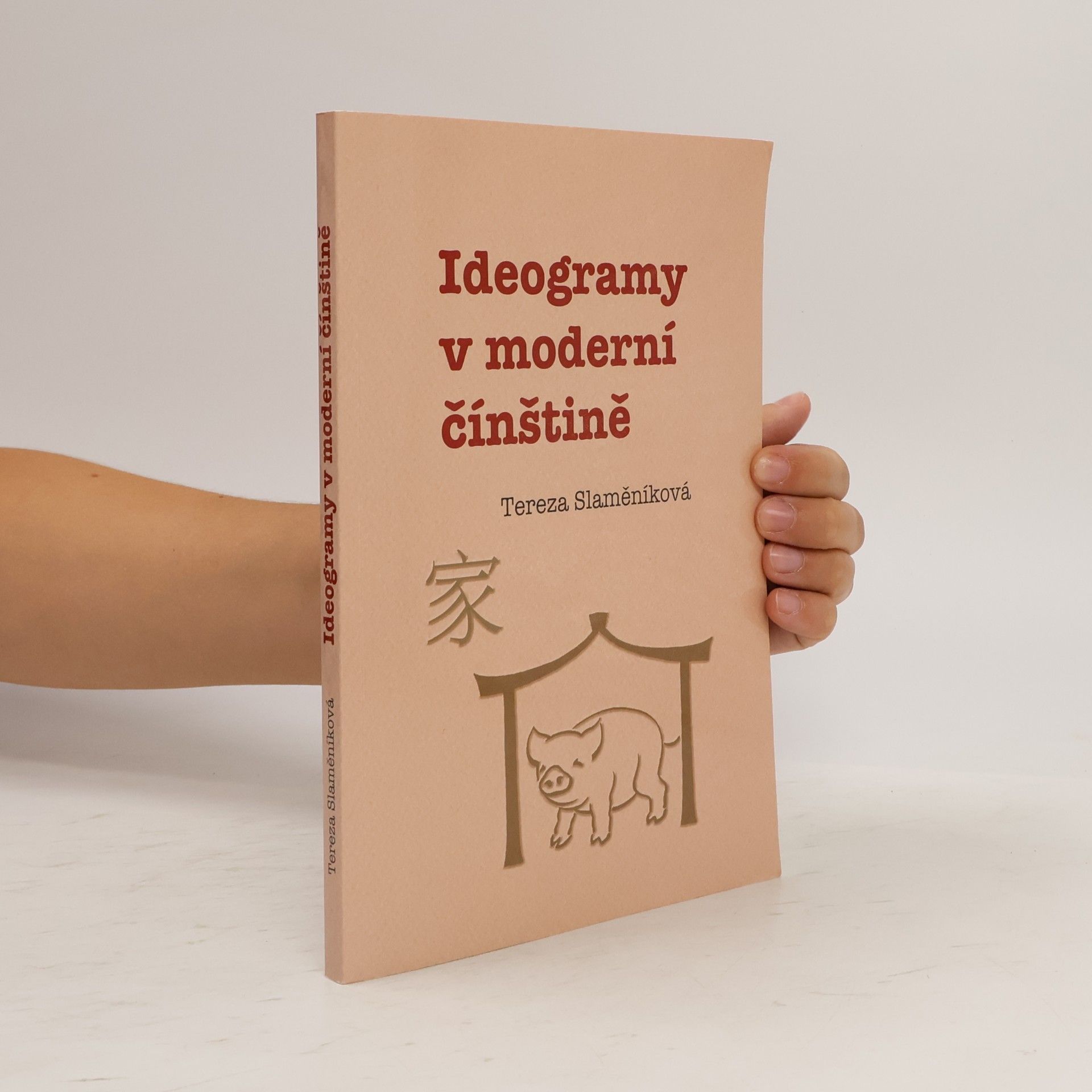 Tereza Slaměníková Ideogramy v moderní čínštině