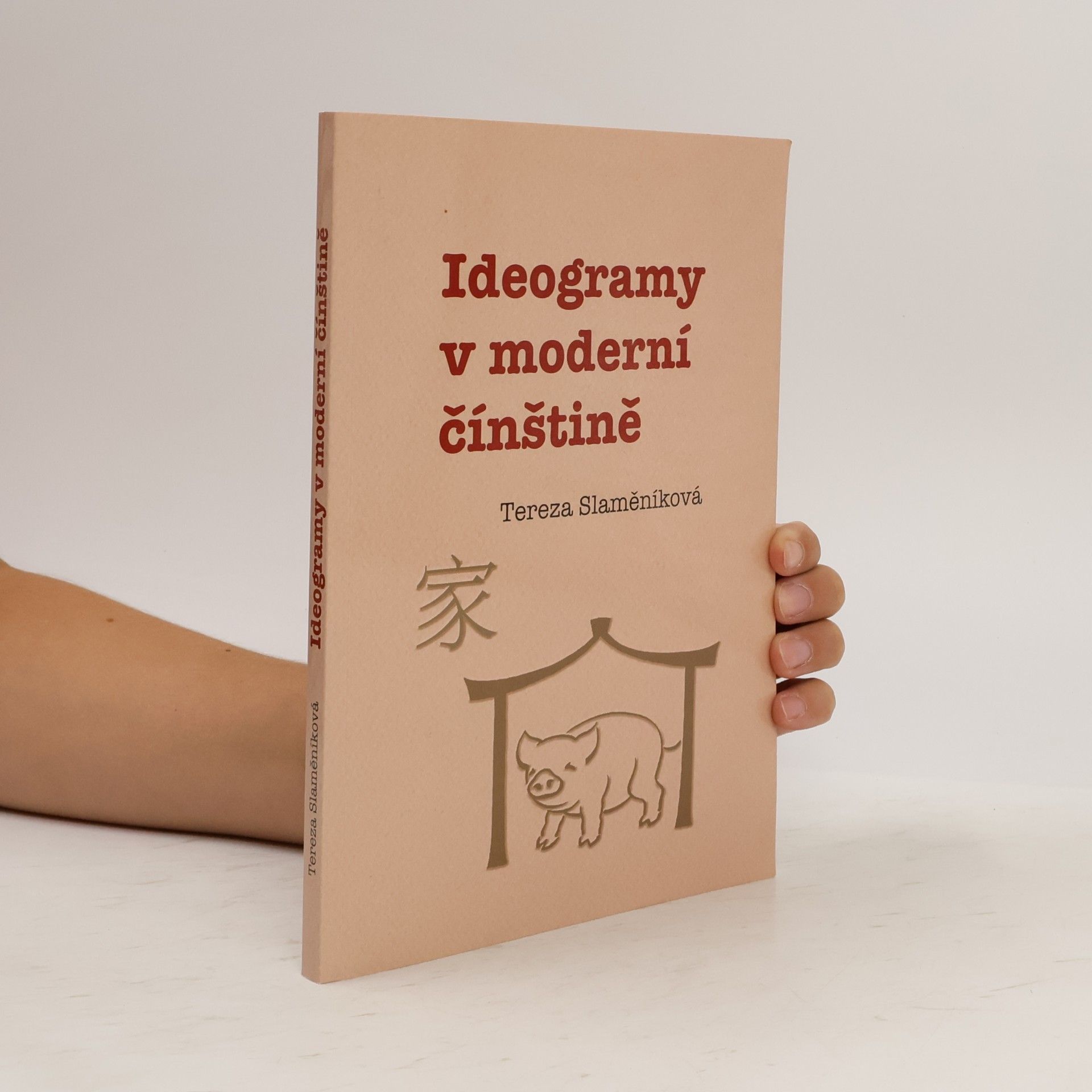 Tereza Slaměníková Ideogramy v moderní čínštině