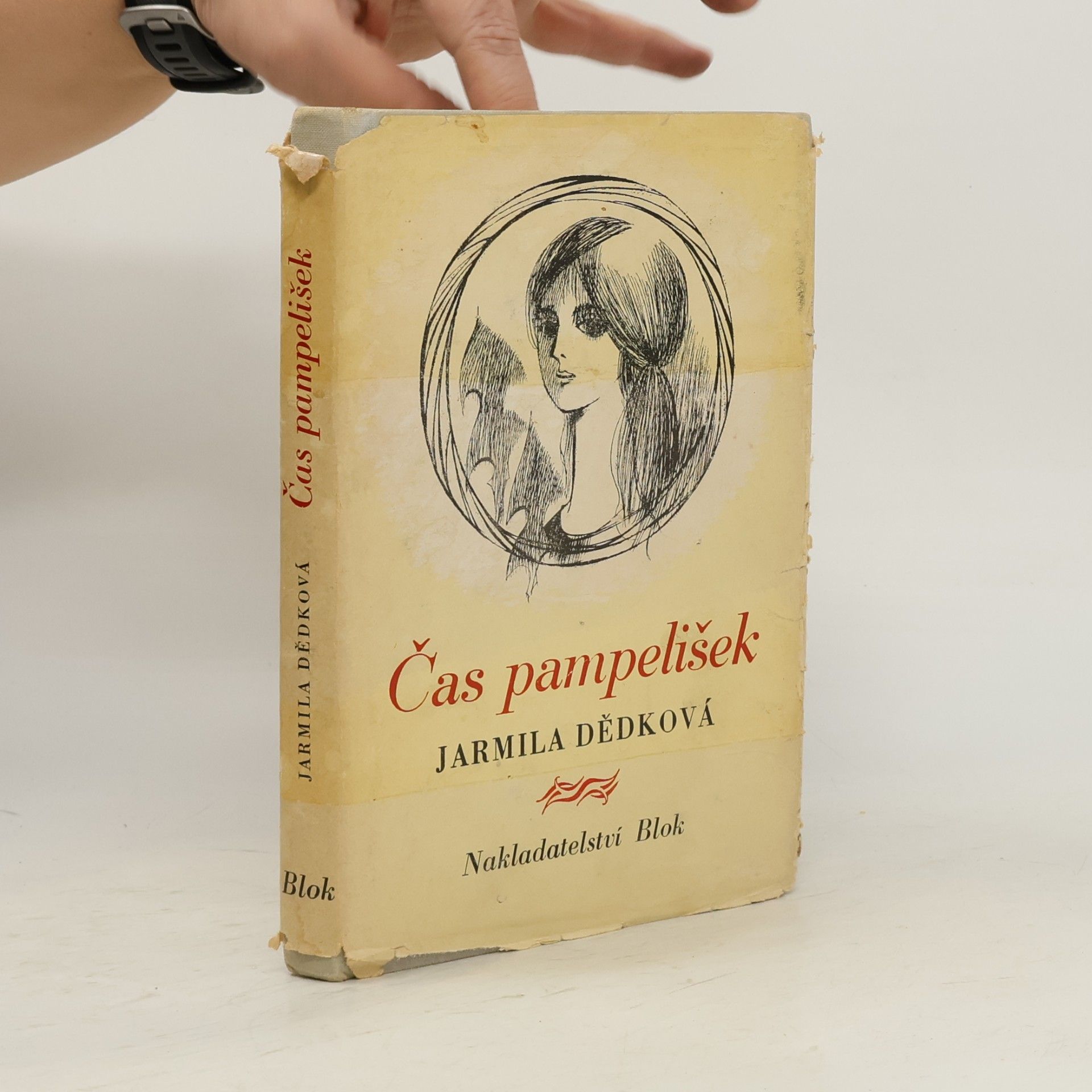 Jarmila Dědková Čas pampelišek