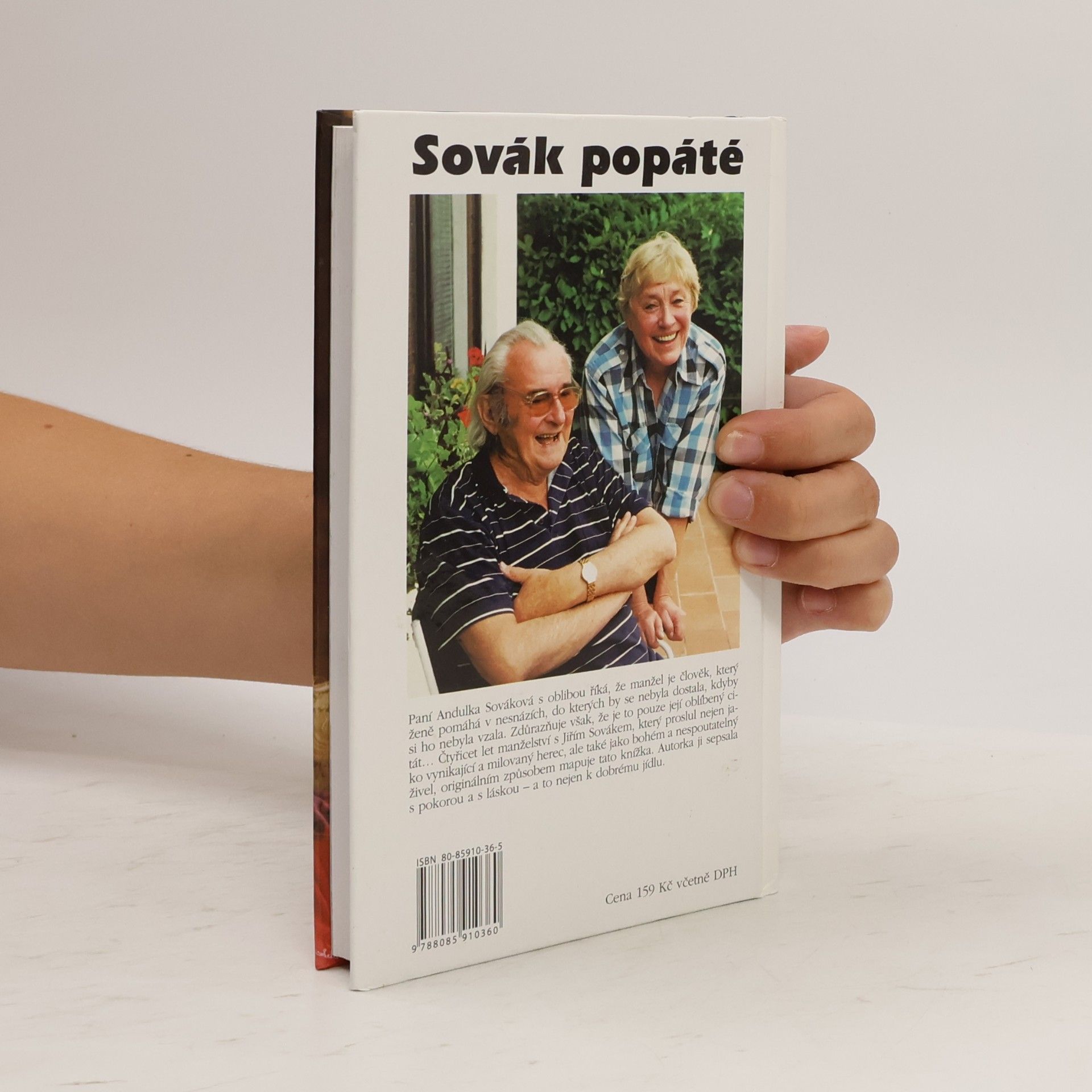 Anna Sováková Sovák popáté. Život se Sovákem, aneb, Uragán