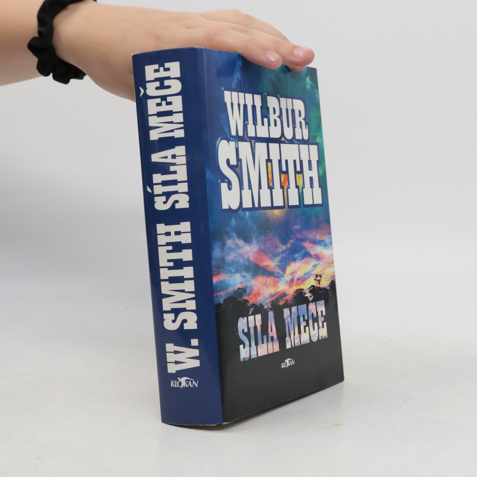 Wilbur Smith Síla meče
