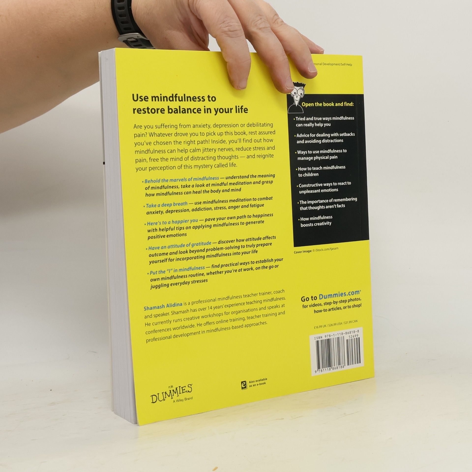 Shamash Alidina Mindfulness For Dummies
