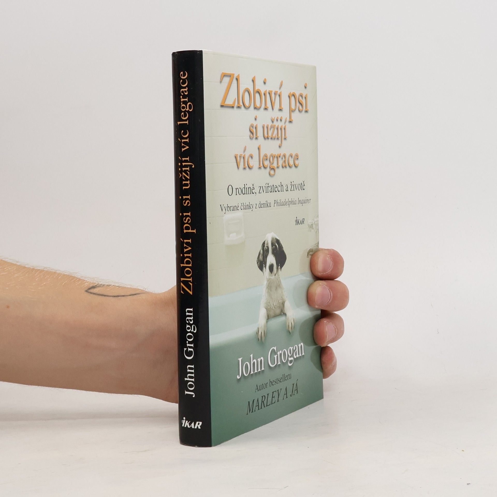 John Grogan Zlobiví psi si užijí víc legrace: O rodině, zvířatech a životě