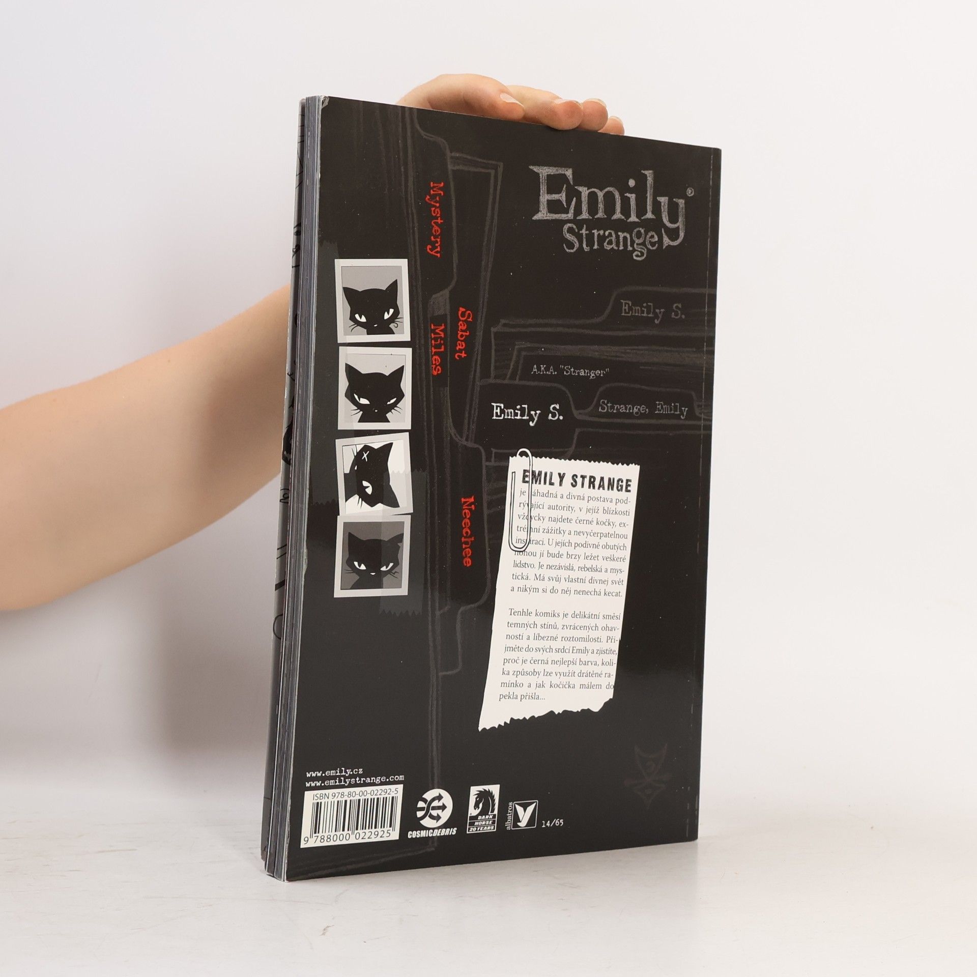 Robert Reger Emily Strange. Ztracená, temná a znuděná