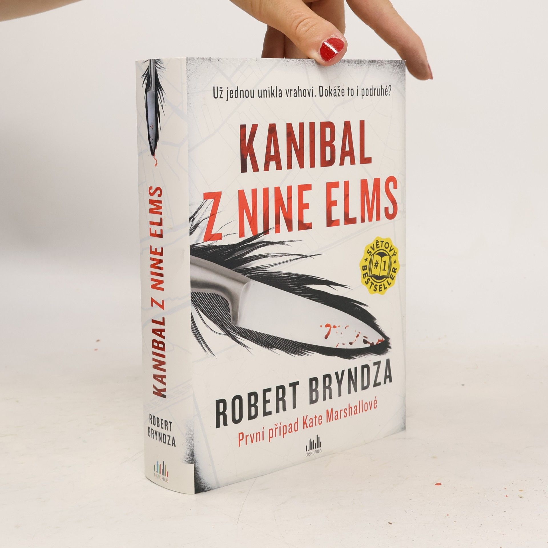 Robert Bryndza Kanibal z Nine Elms