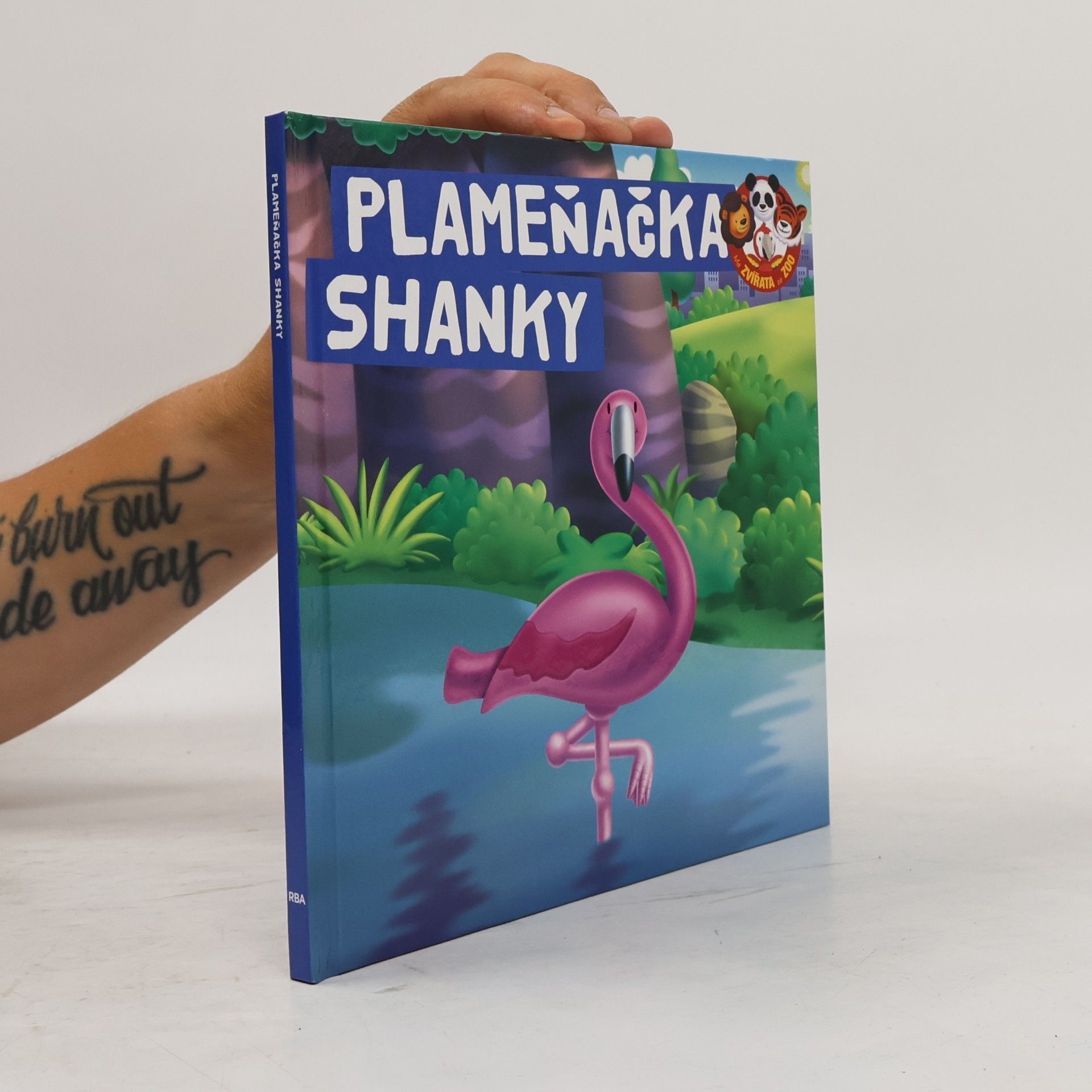 Plameňačka Shanky